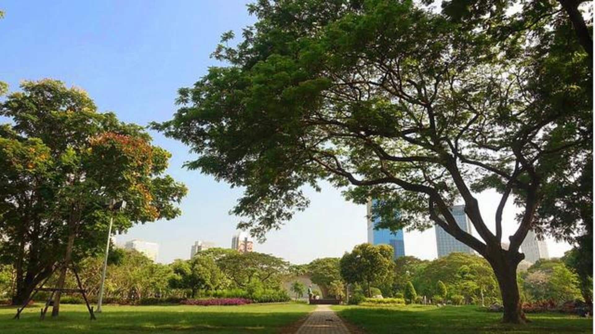 สวนสาธารณะในกรุงเทพฯ เหมาะสำหรับการทำสมาธิ