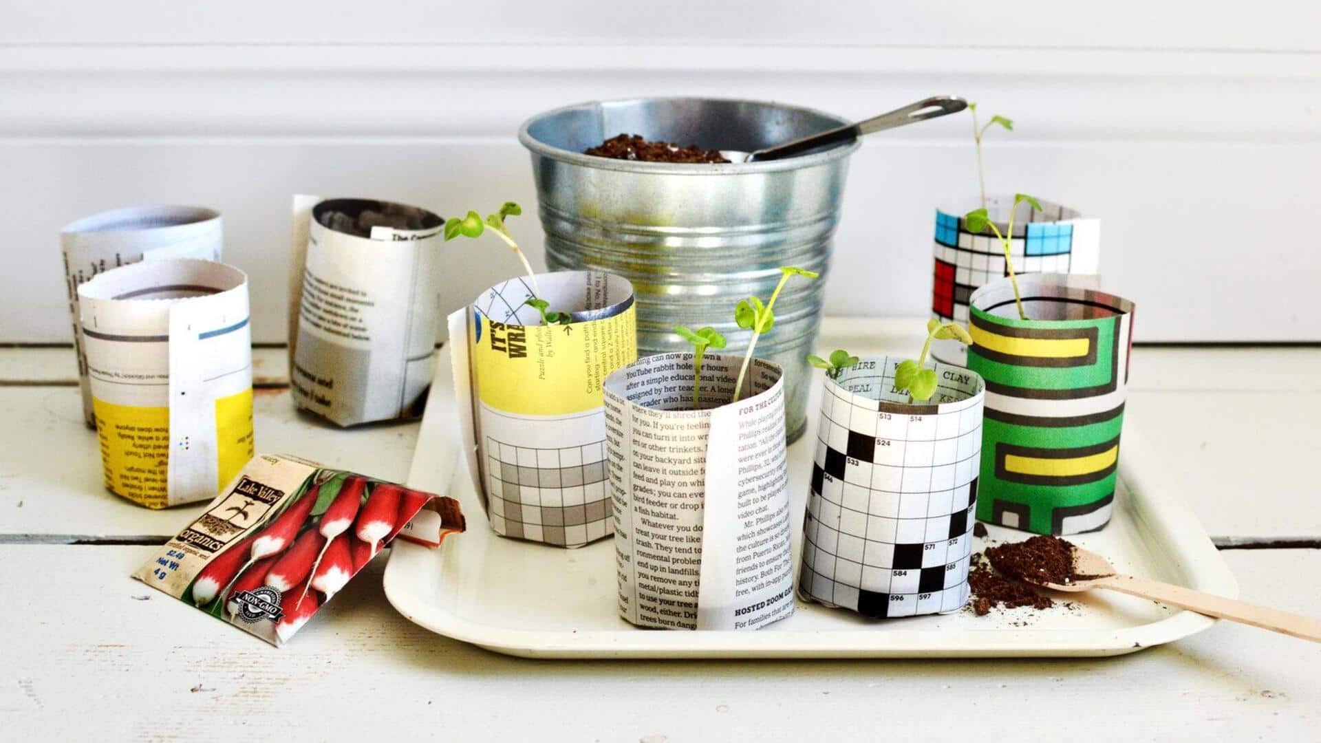 จากหนังสือพิมพ์เก่าสู่กระถางต้นกล้าแบบง่ายๆ