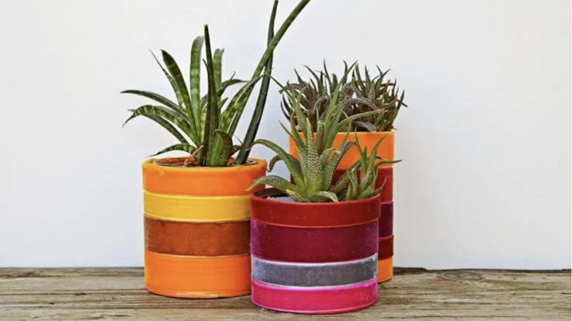 รีไซเคิลกระป๋องดีบุกให้กลายเป็นกระถางต้นไม้สุดชิค 