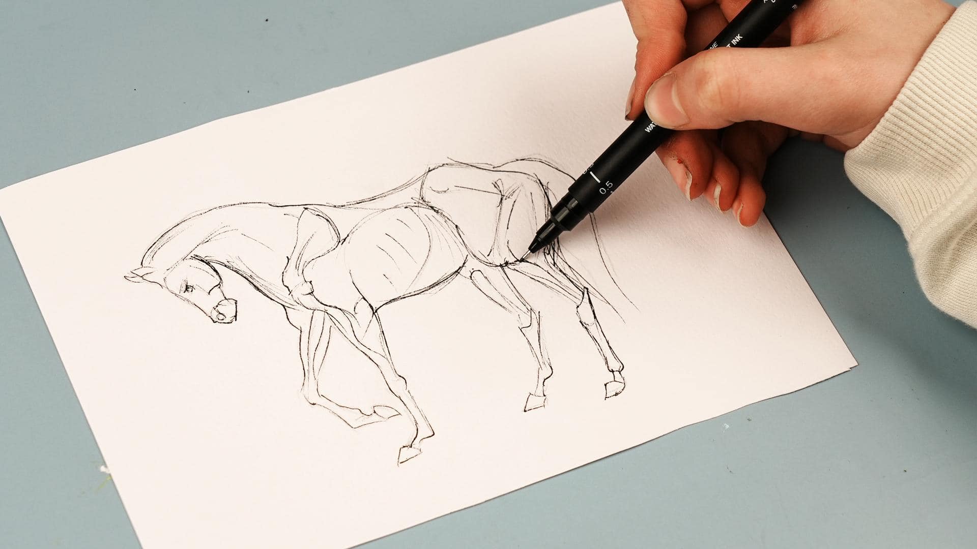 วาดภาพตอนเย็นเพื่อการนอนหลับอย่างมีคุณภาพ 