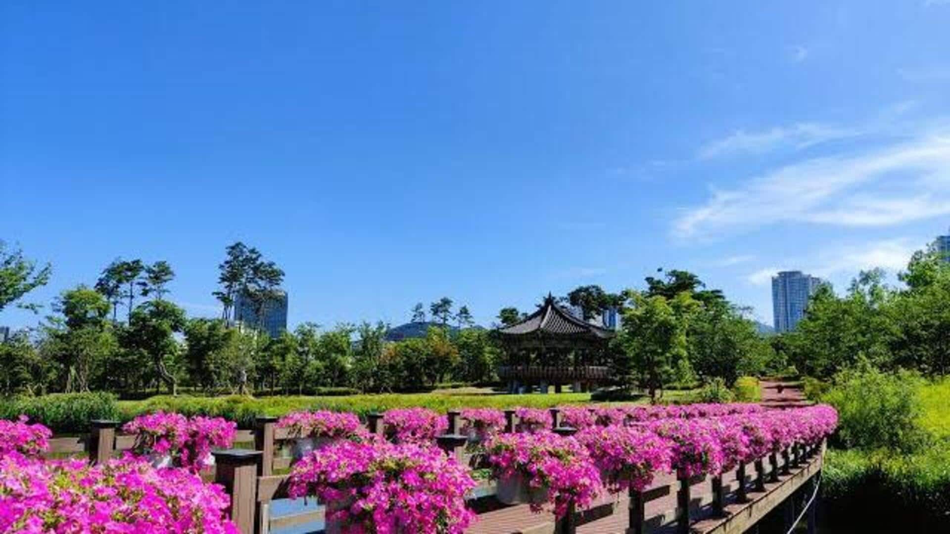 สวนสาธารณะลับในเกาหลีใต้สำหรับการพักผ่อน