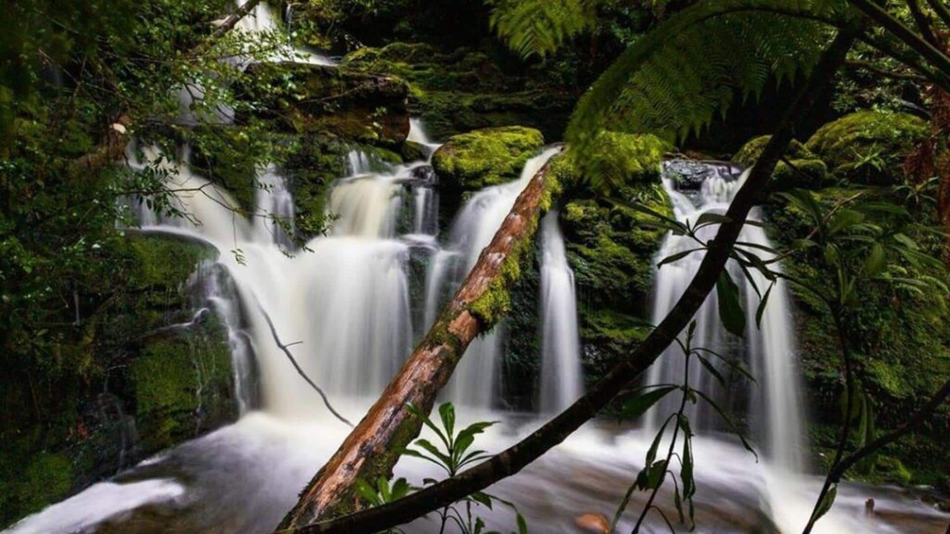 น้ำตกลับตาลปัตรในแทสมาเนีย: คู่มือการผจญภัย