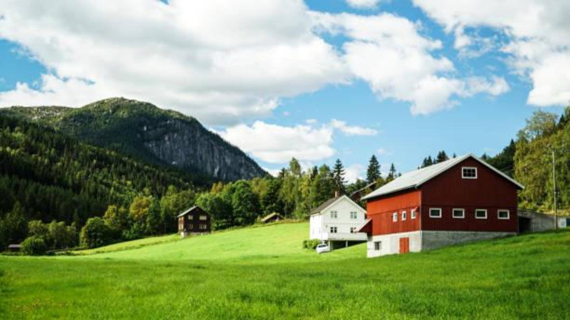 ฟาร์มในเมืองออสโล: 5 ประสบการณ์ที่ไม่ควรพลาด