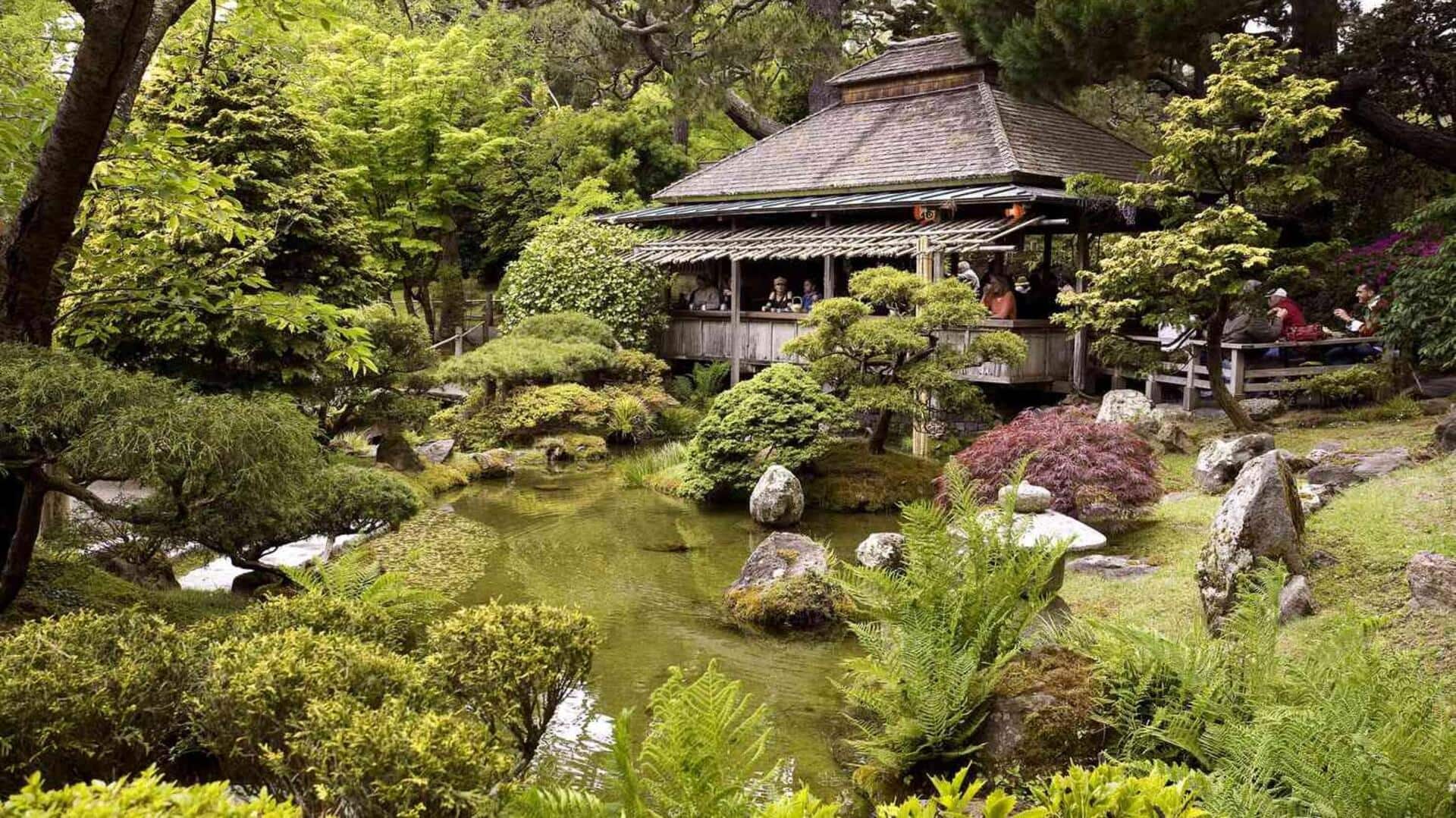 สวนชาในญี่ปุ่น: คู่มือการเดินทางอย่างมีสติ