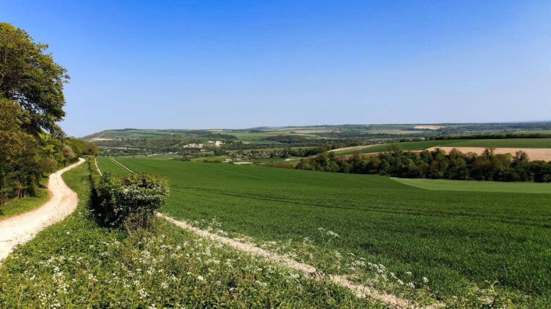 สำรวจอุทยานแห่งชาติทุ่งหญ้าทางตอนใต้ของอังกฤษ