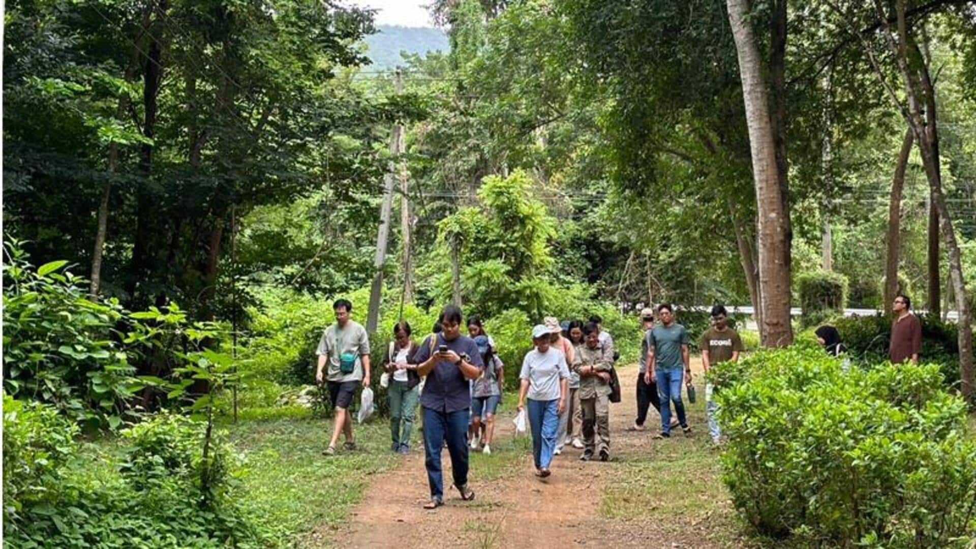 สวนธรรมชาติที่ยังไม่ถูกค้นพบสำหรับการเดินบำบัด สวนธรรมชาติที่ยังไม่ถูกค้นพบสำหรับการเดินบำบัด