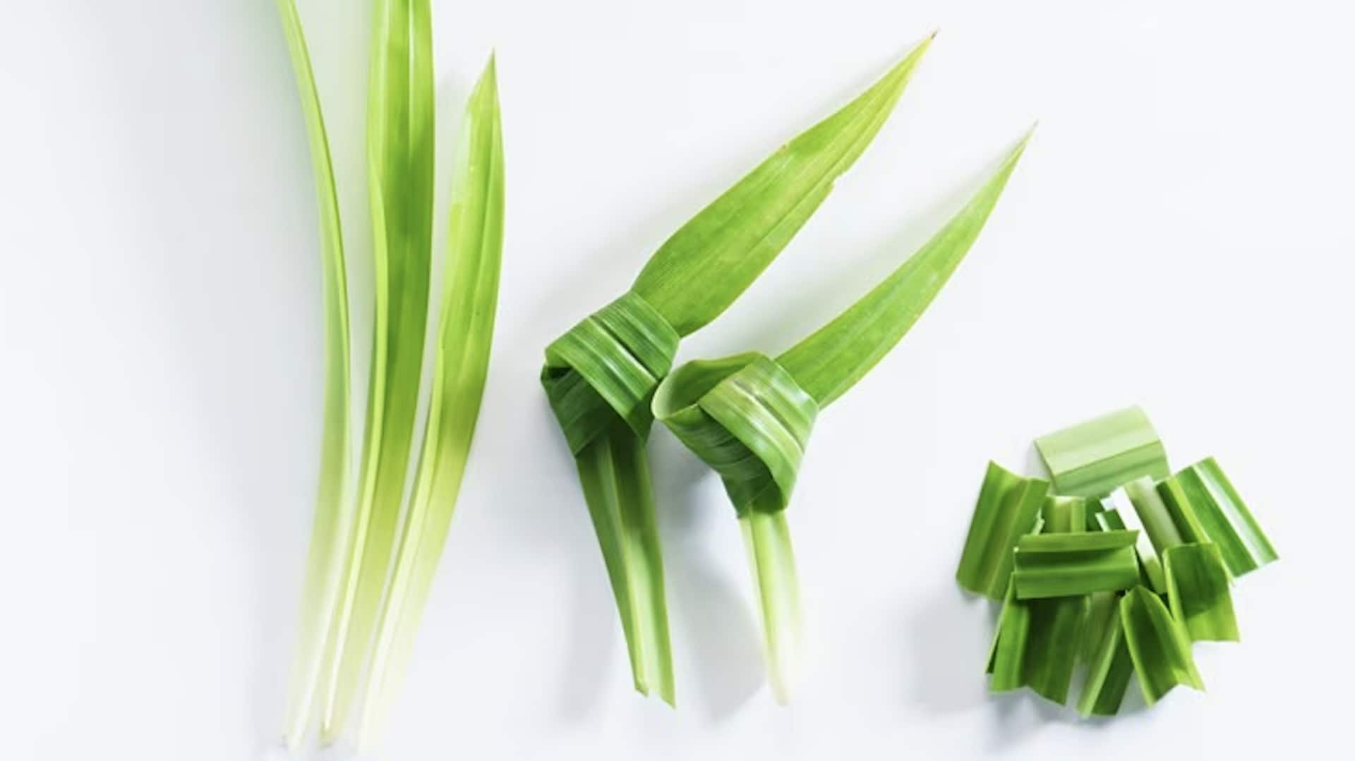 ใบเตยทอดกรอบ เมนูหอมหวานกรุบกรอบที่ต้องลอง