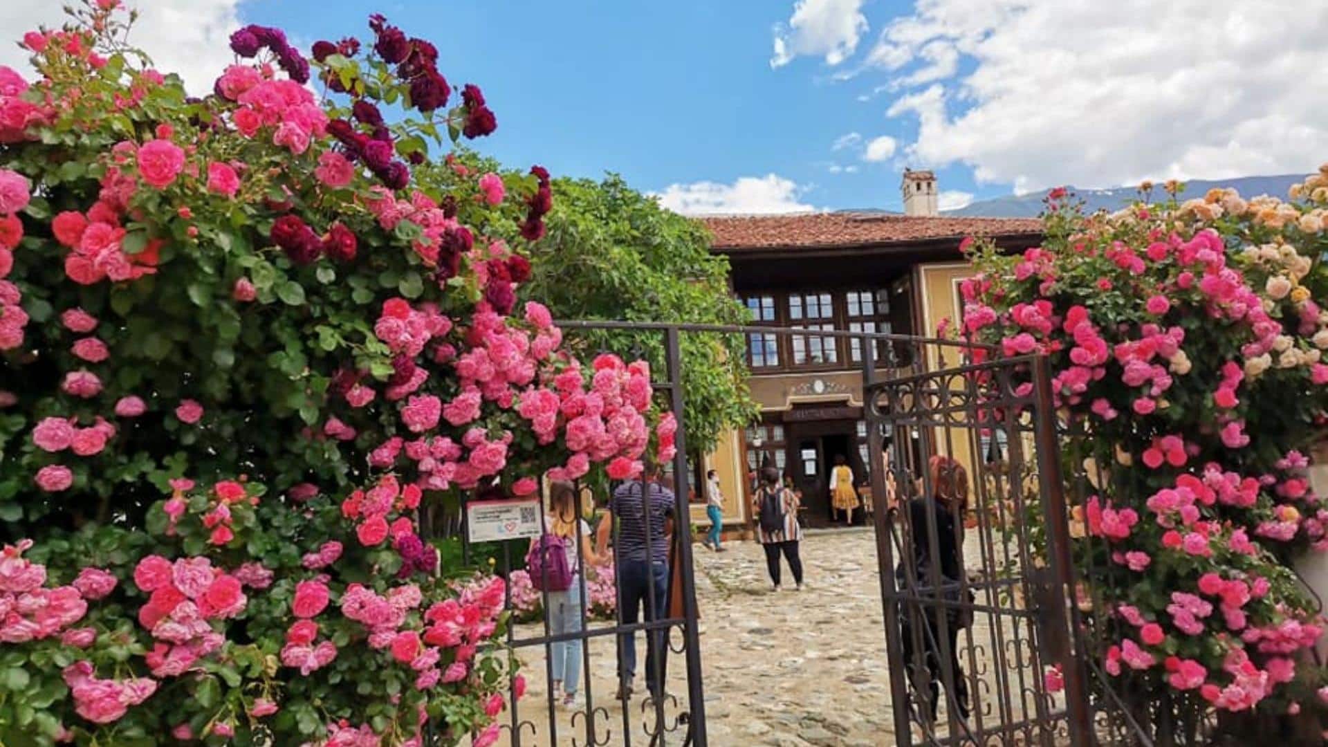 5 สวนกุหลาบสุดเงียบสงบในบัลแกเรีย