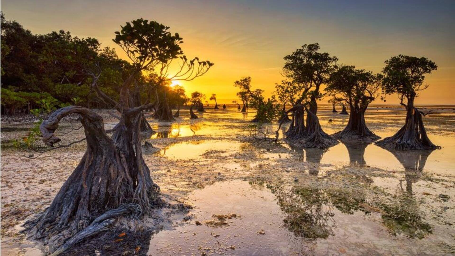 สำรวจเกาะซุมบาประตูสู่สวรรค์แห่งอินโดนีเซีย