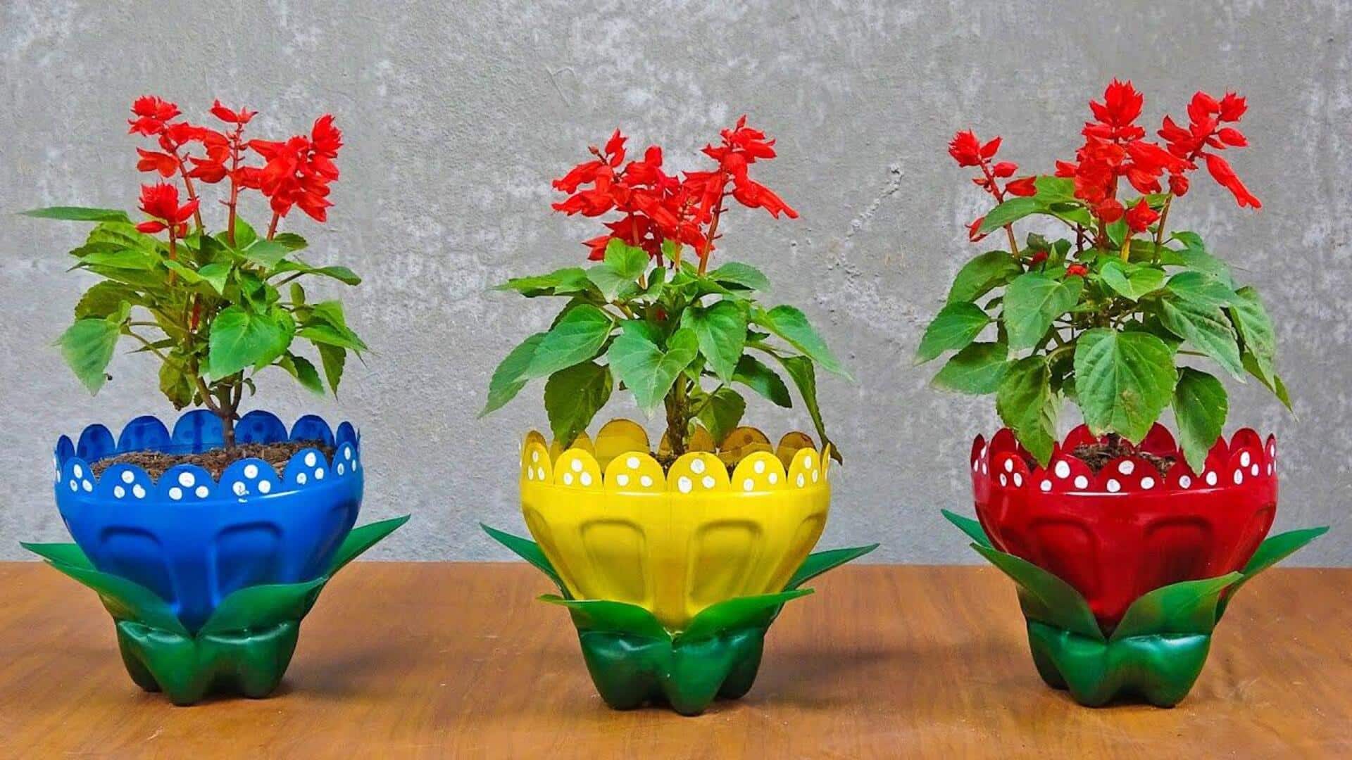 รีไซเคิลอย่างสร้างสรรค์: กระถางต้นไม้จากของเหลือใช้