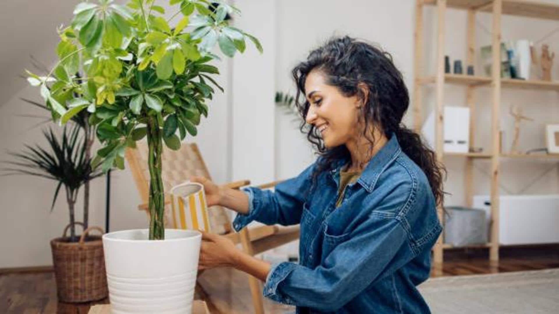 เปลี่ยนนิสัยด้วยกิจวัตรดูแลต้นไม้ที่สร้างสรรค์