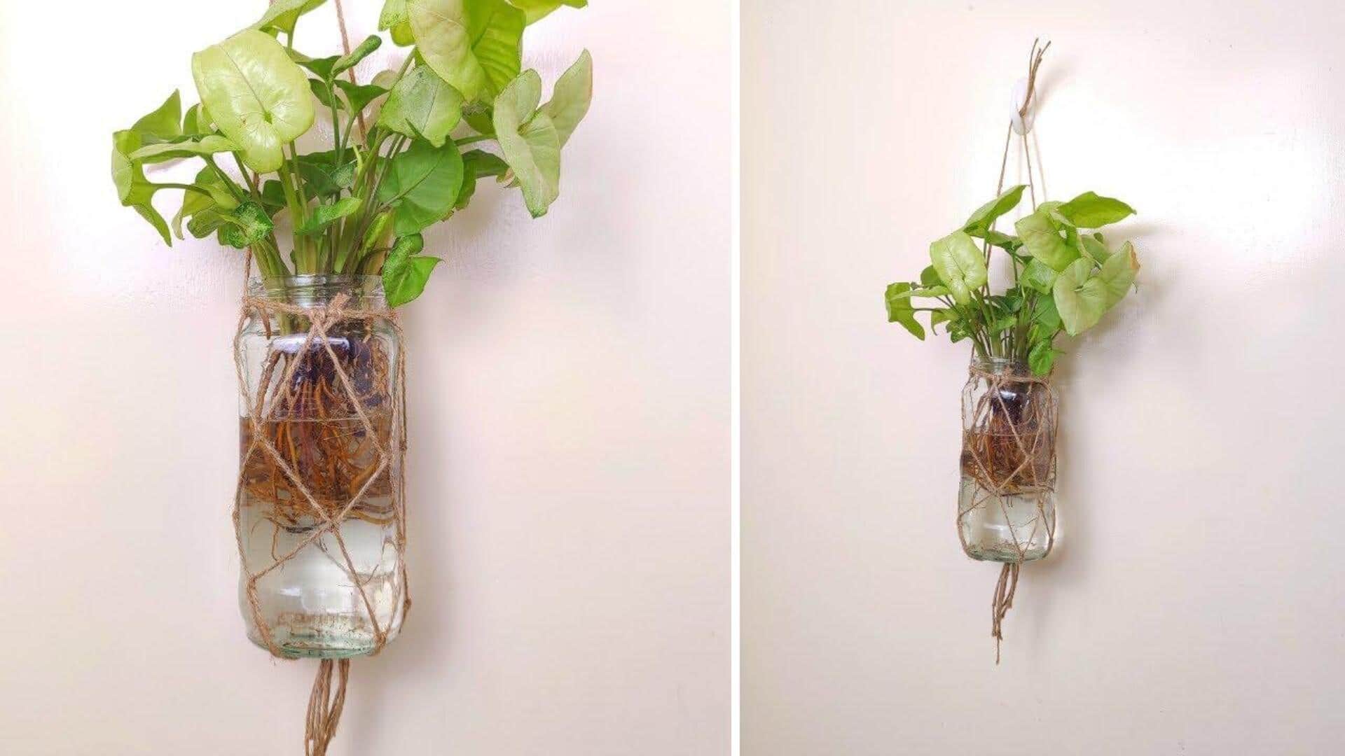 DIY เปลี่ยนขวดแก้วเป็นที่แขวนต้นไม้สุดชิค 