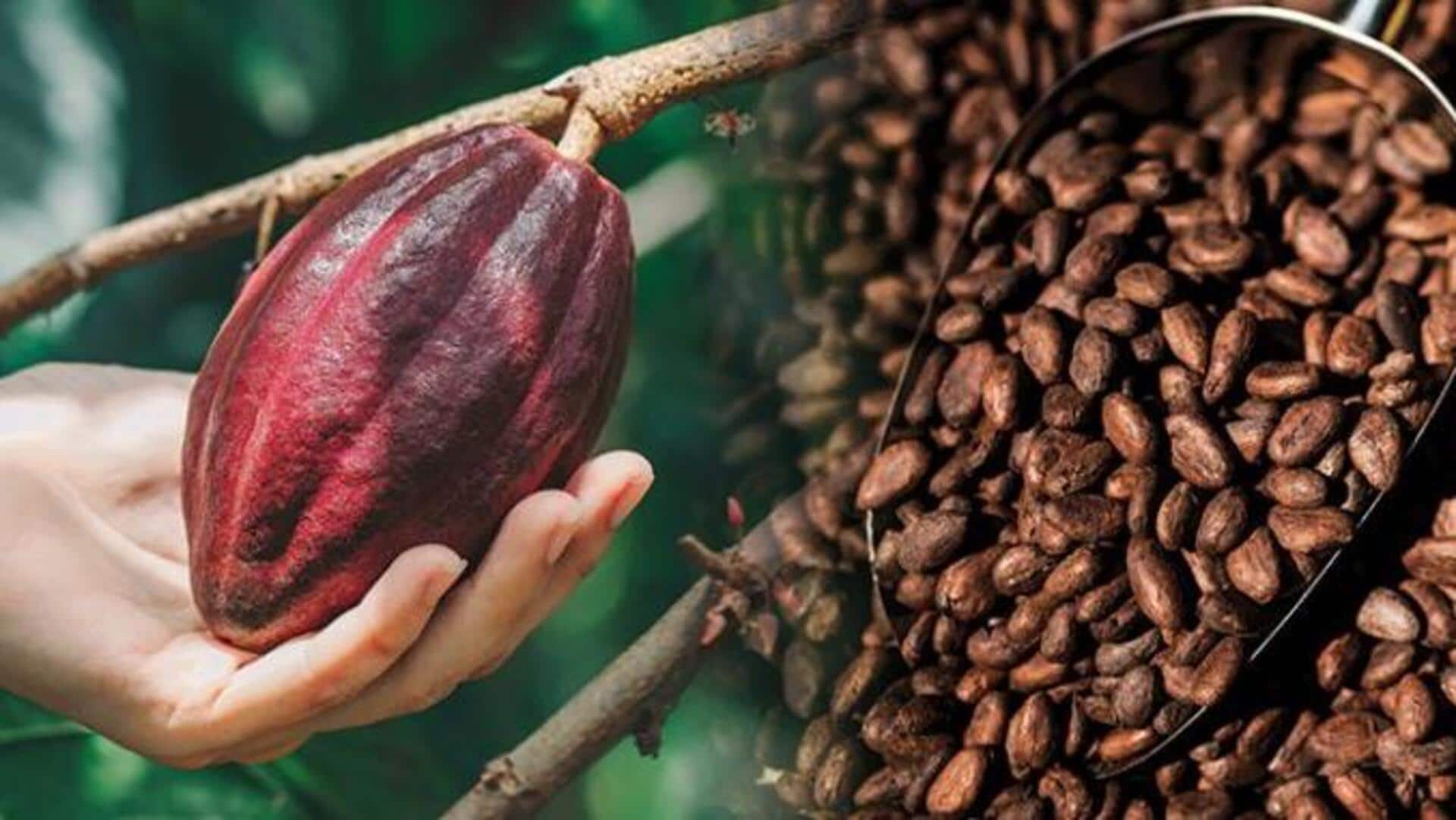 ประโยชน์ความงามของโกโก้ เพื่อผิวนุ่มเนียนและเปล่งปลั่ง