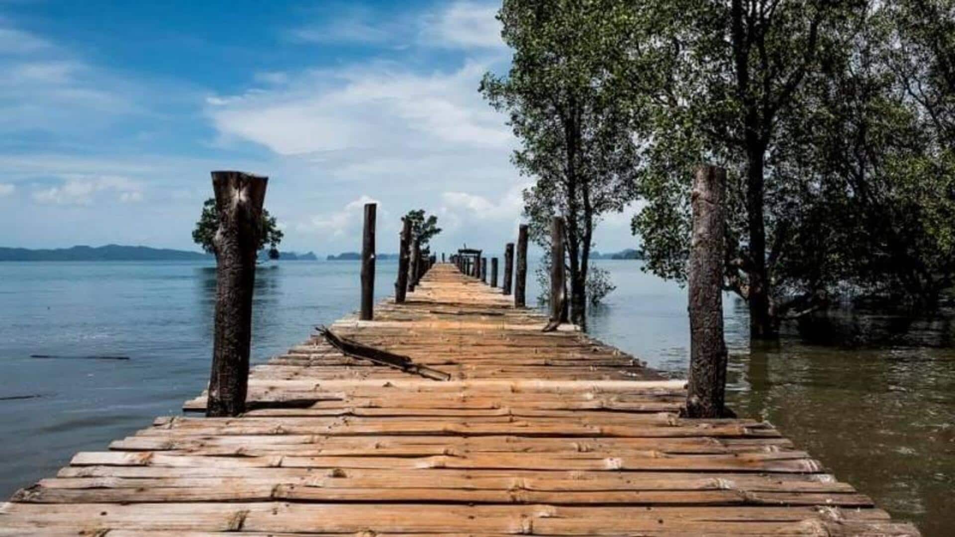 สะพานไม้ไผ่: การเดินทางทางวัฒนธรรมที่คุ้มค่าแก่การสำรวจ