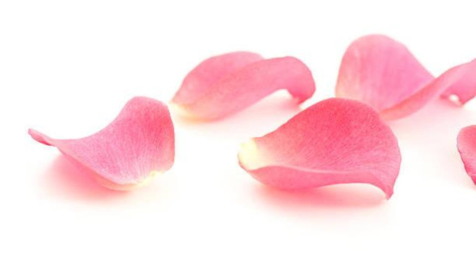 กลีบกุหลาบ: เคล็ดลับธรรมชาติเพื่อริมฝีปากนุ่มนวล