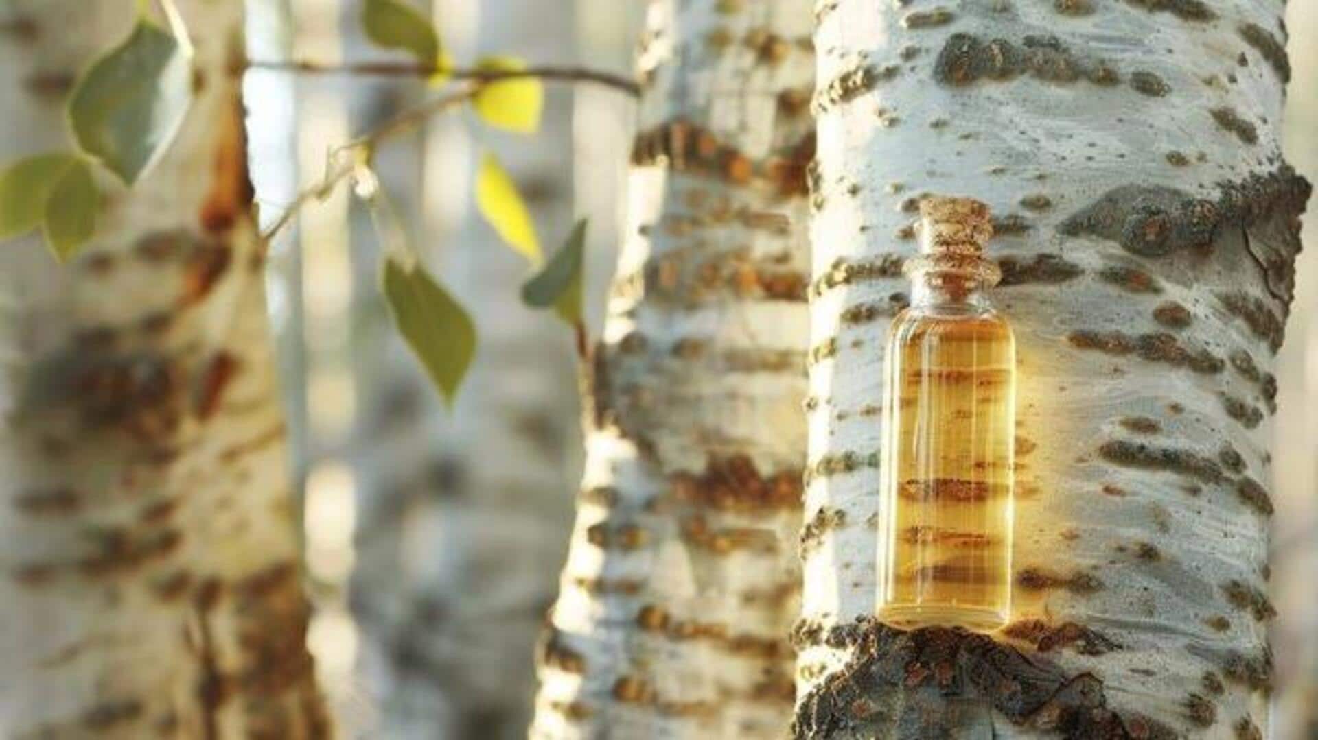 ประโยชน์ความงามที่ซ่อนอยู่ของน้ำยางเบิร์ช