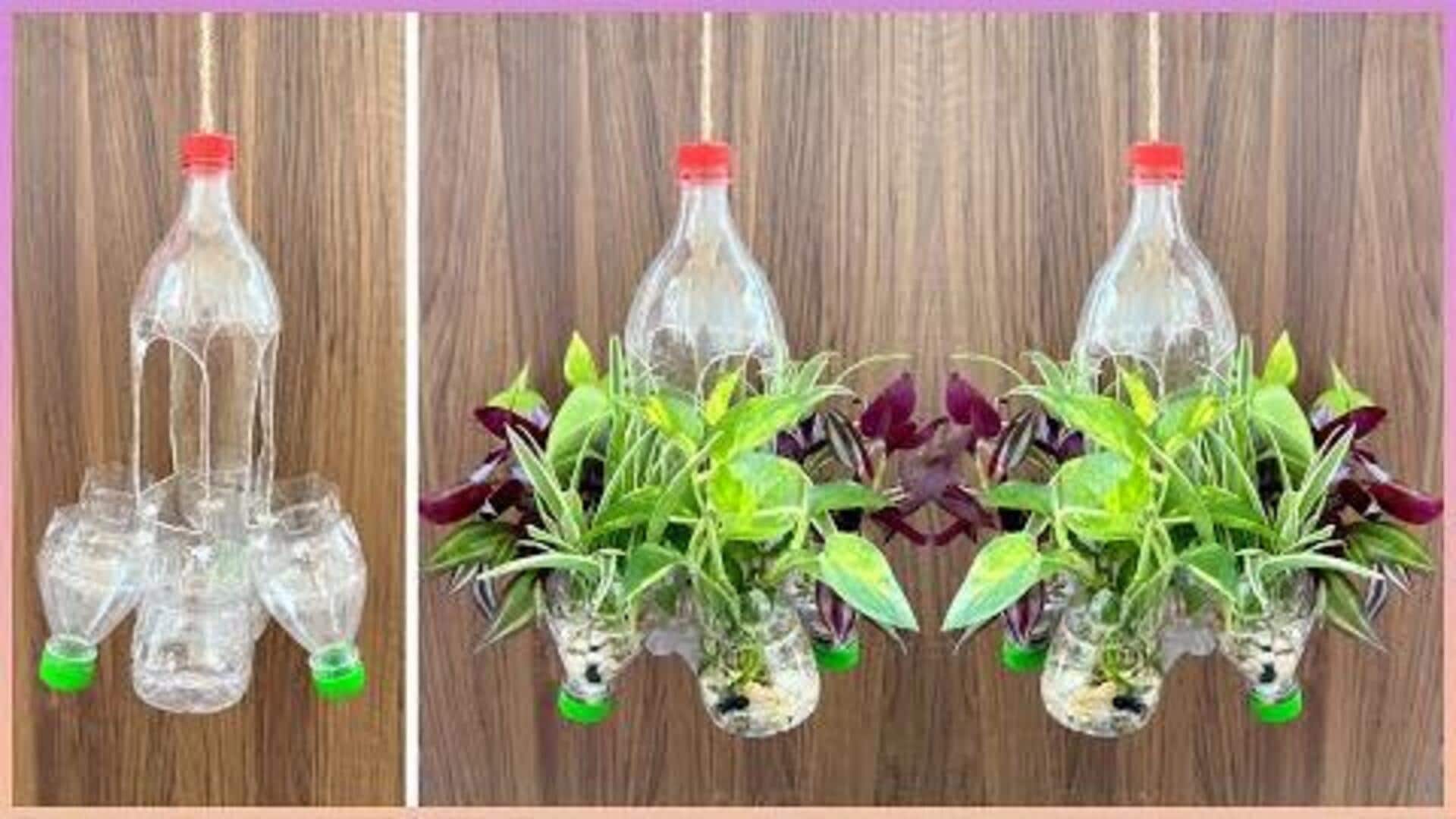 ไอเดียทำกระถางแขวนจากขวดพลาสติก ใช้พื้นที่น้อยแต่ดูดี 