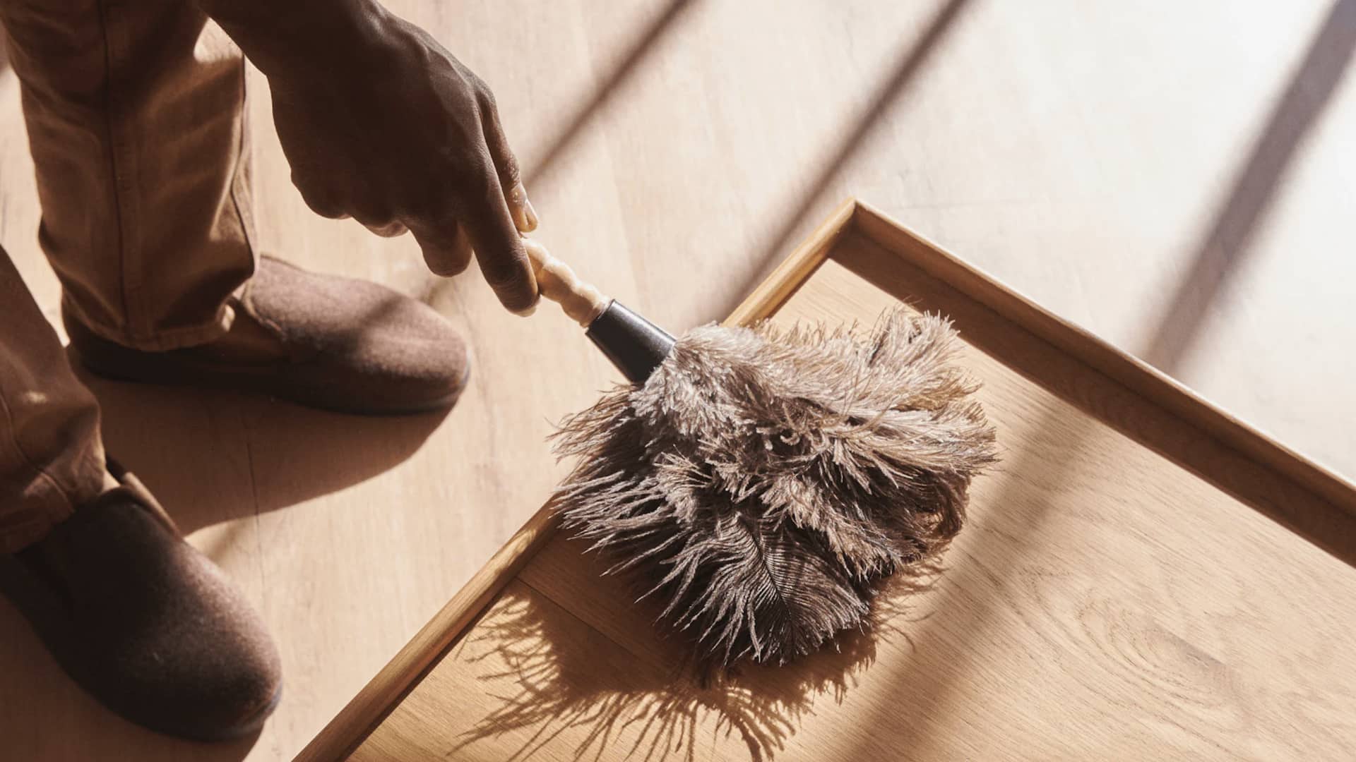 เคล็ดลับเช็ดฝุ่นด้วยของใช้ในบ้านแบบไม่เสียเงิน