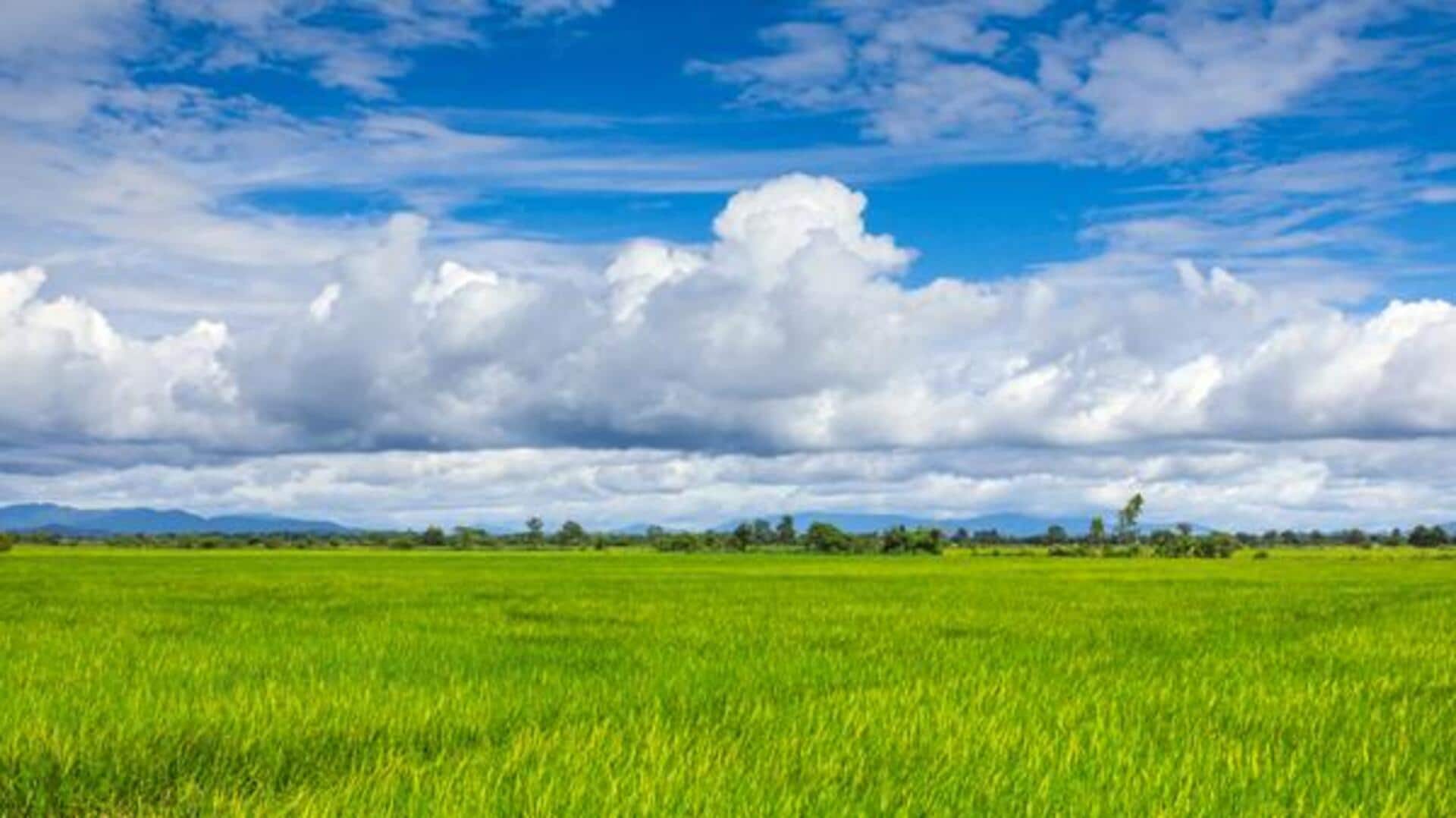 สถานที่ยอดเยี่ยมสำหรับการสัมผัสบรรยากาศชนบทในประเทศไทย สถานที่ยอดเยี่ยมสำหรับการสัมผัสบรรยากาศชนบทในประเทศไทย