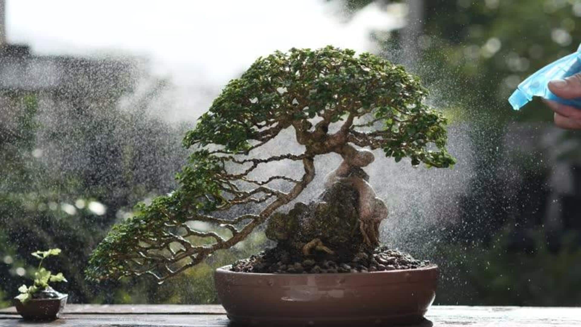 ผ่อนคลายไปกับการปลูกบอนไซ