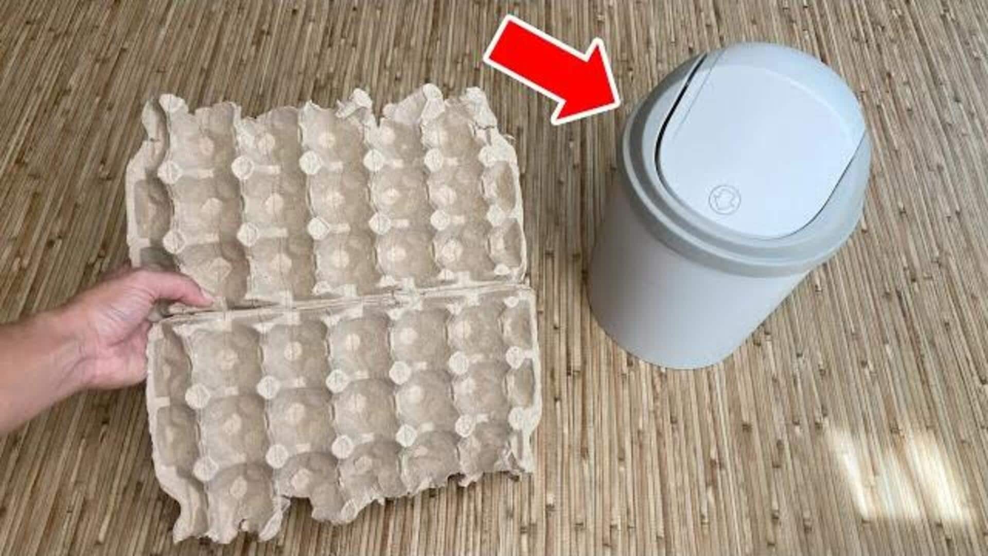 กล่องใส่ไข่: ไอเดียประหยัดค่าใช้จ่ายในชีวิตประจำวัน