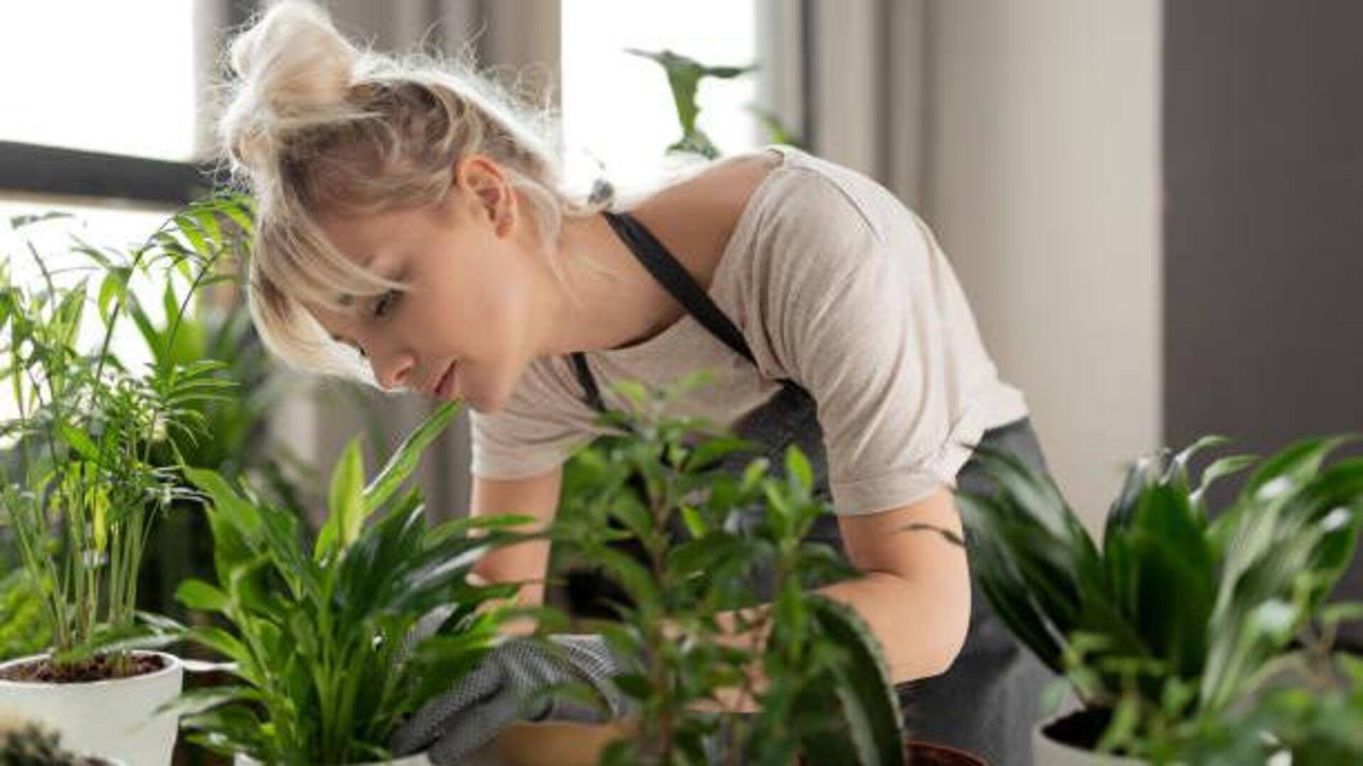 5 วิธีจัดการความเครียดด้วยการทำสวนในร่ม