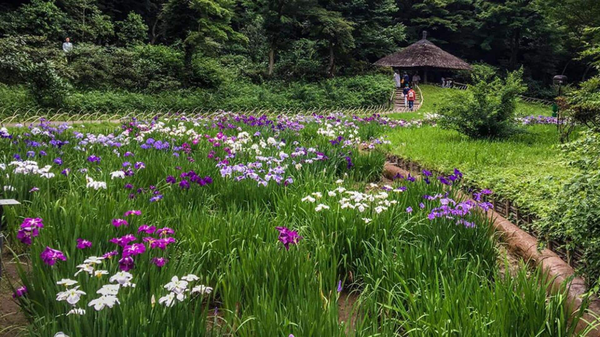 สวนลับในโตเกียว: มุมพักผ่อนท่ามกลางเมืองใหญ่
