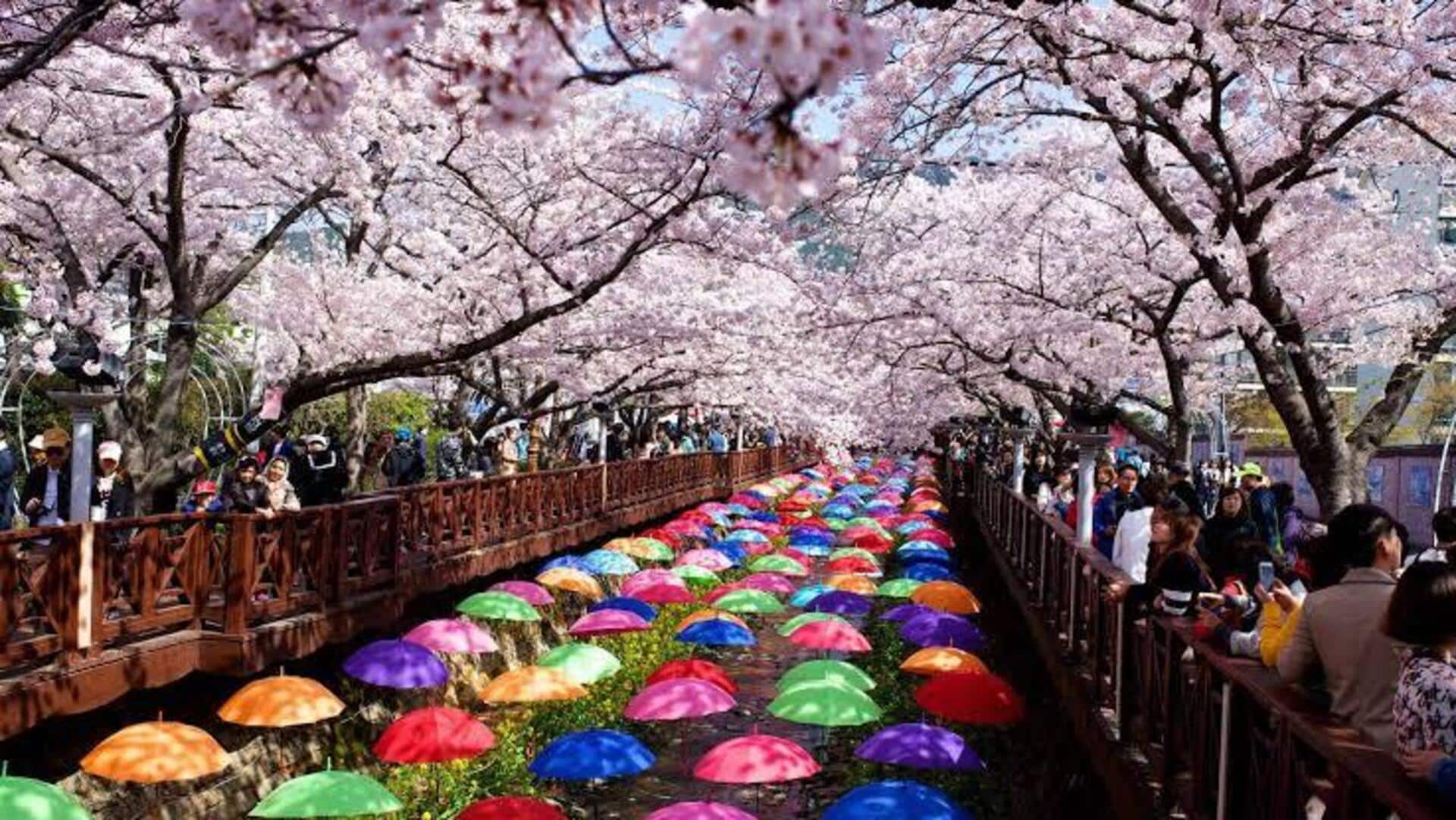 เทศกาลวัฒนธรรมโดดเด่นที่ต้องสัมผัสในเกาหลีใต้