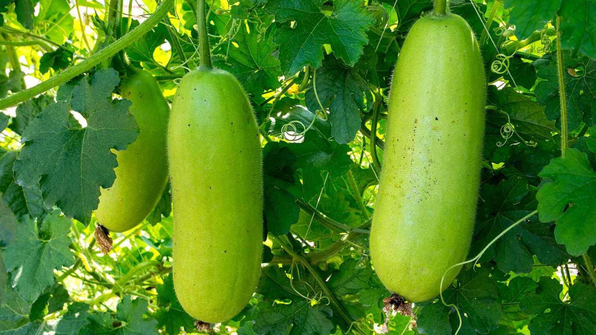 ฟักเขียว: เคล็ดลับความงามเพื่อผิวสดใส