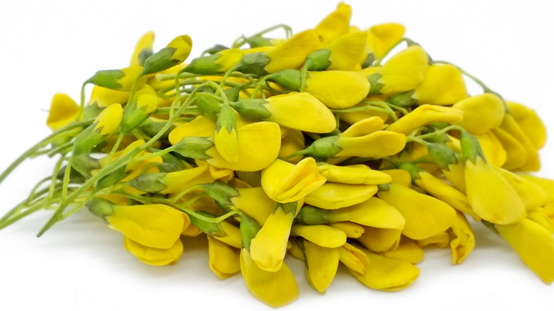 เมนูสุขภาพดอกแคผัด: อาหารมังสวิรัติหายากแต่ทำง่าย