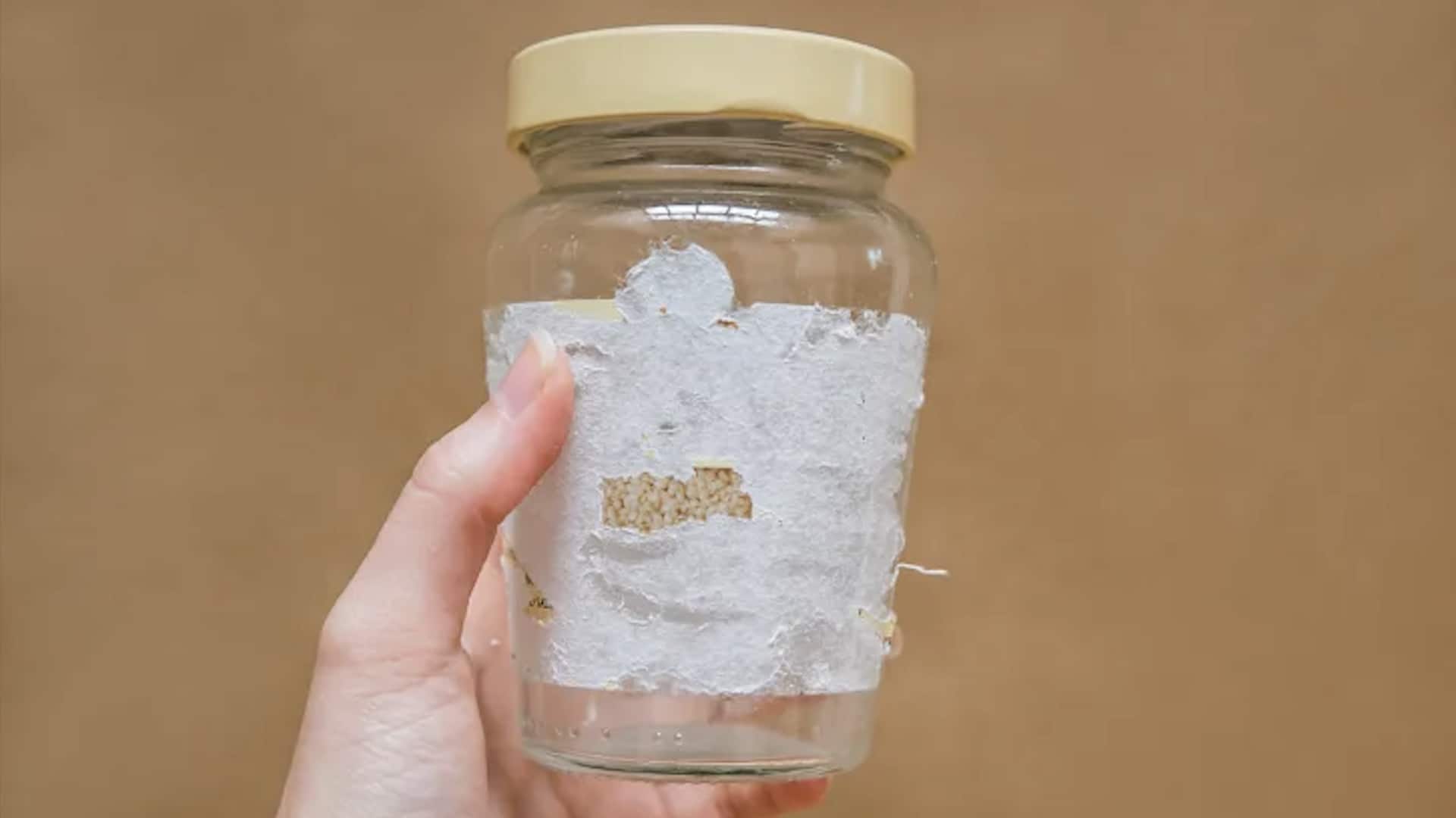 เคล็ดลับลอกสติ๊กเกอร์ติดแน่นออกจากภาชนะ