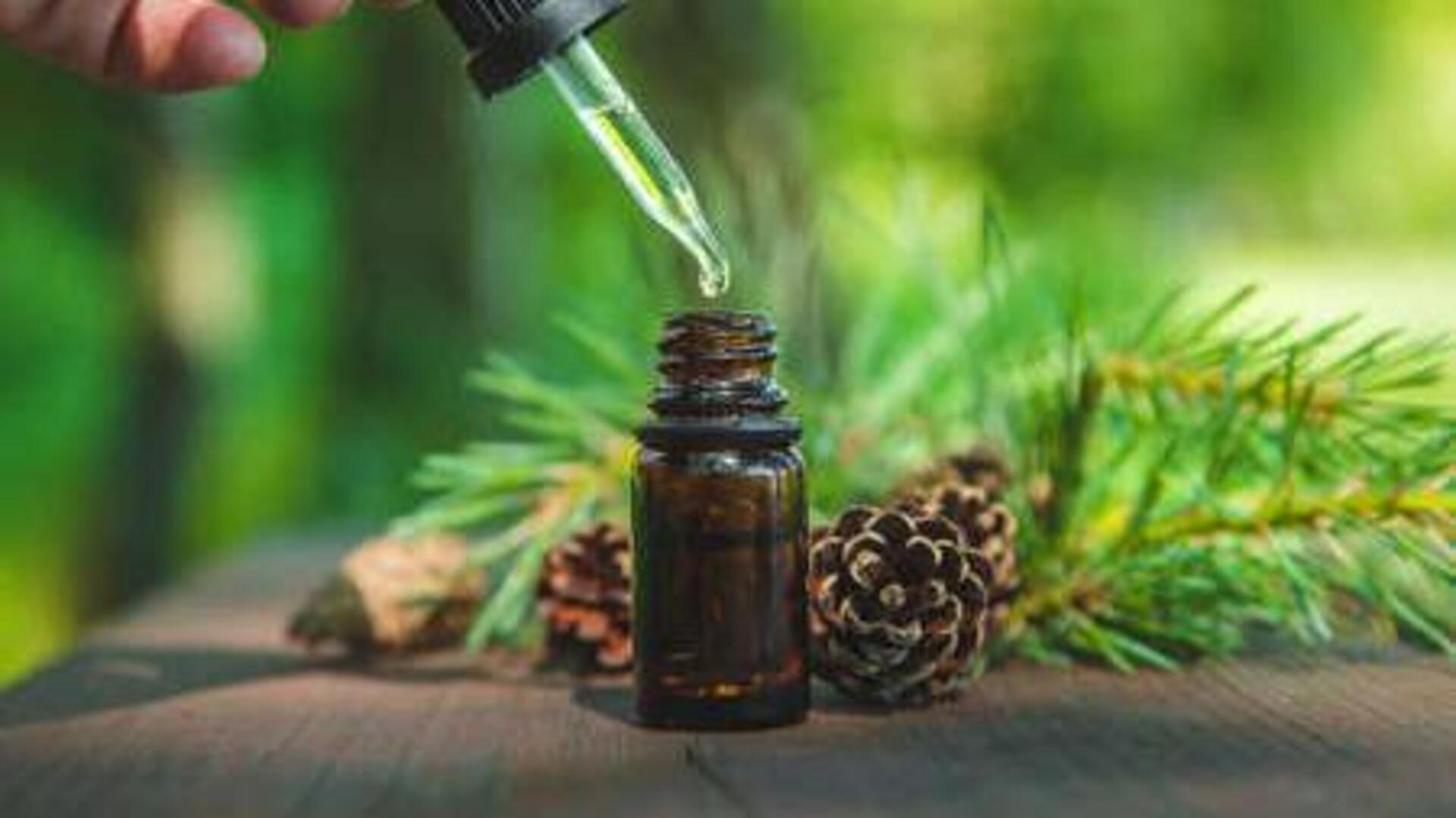 สารสกัดจากกรวยสน: เคล็ดลับผิวเปล่งปลั่งอย่างเป็นธรรมชาติ