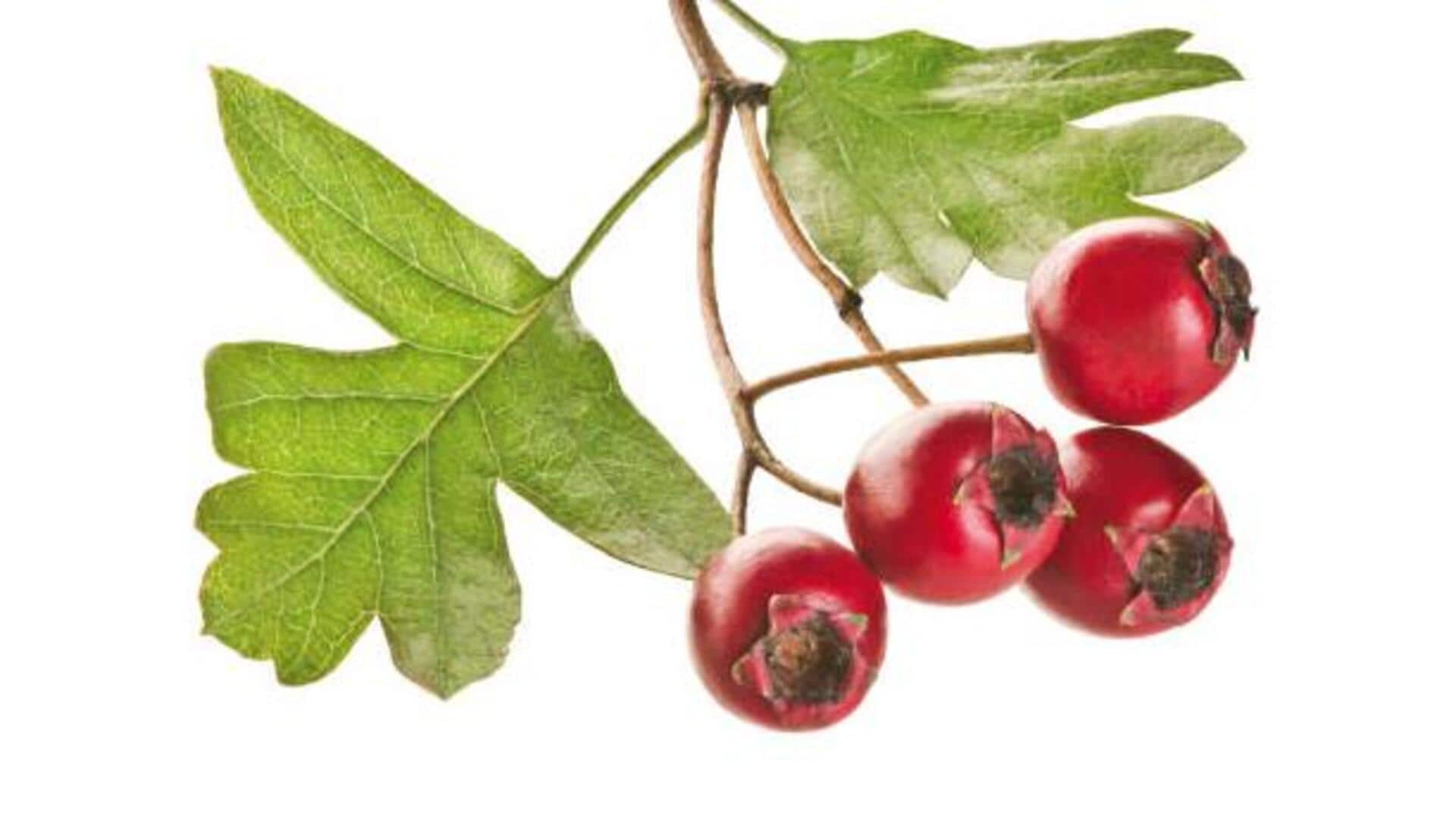 เบอร์รี่ฮอว์ธอร์น: เคล็ดลับผิวสวยอ่อนเยาว์