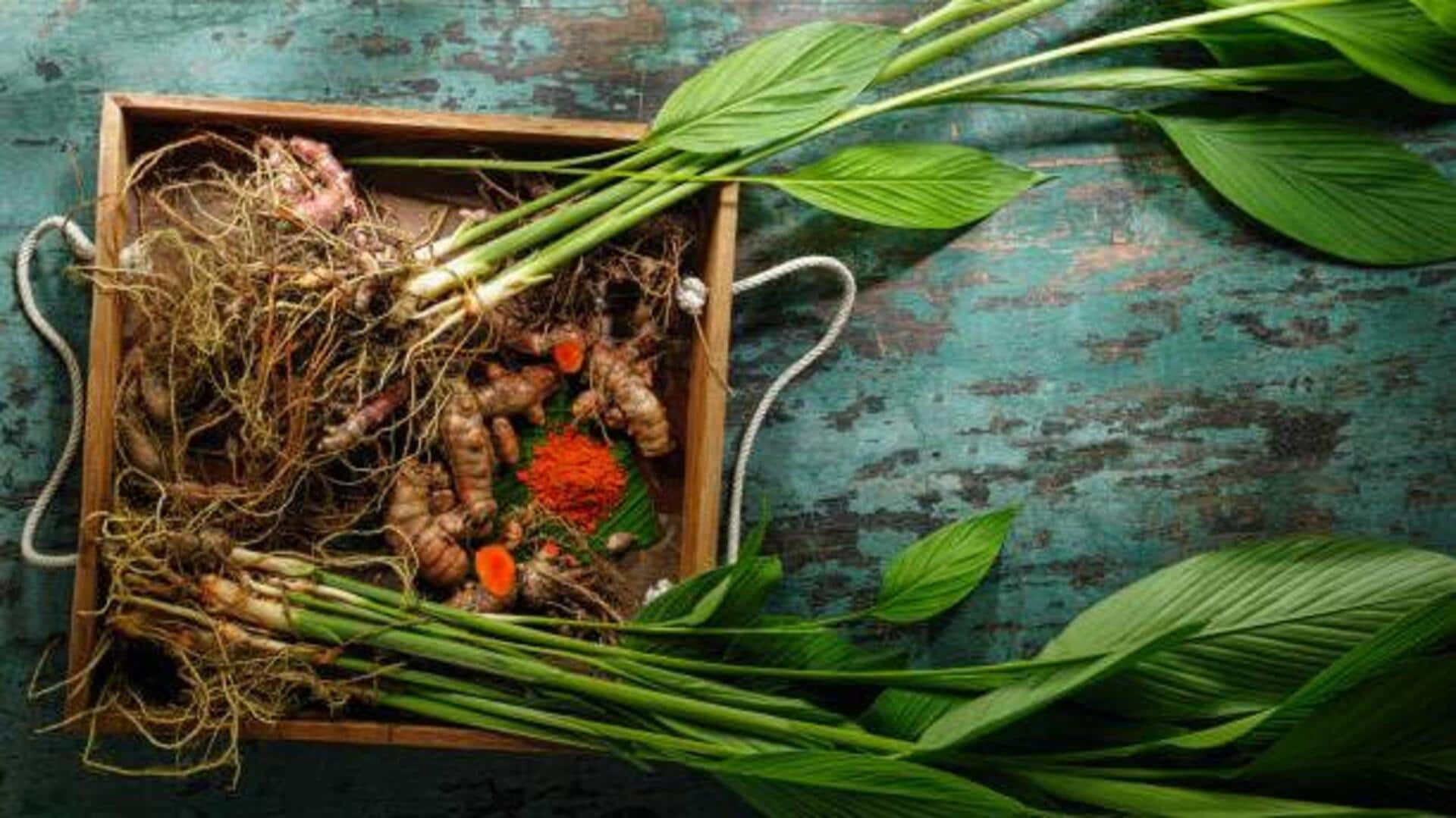 เผยความงามของขมิ้นชันพร้อมคุณประโยชน์ของลำต้น
