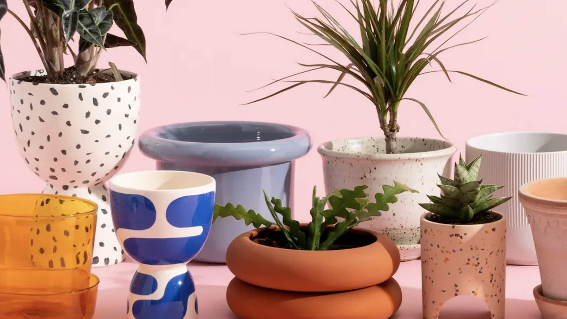 เครื่องครัวเก่าก็กลายเป็นกระถางต้นไม้สุดชิคได้ เครื่องครัวเก่าก็กลายเป็นกระถางต้นไม้สุดชิคได้