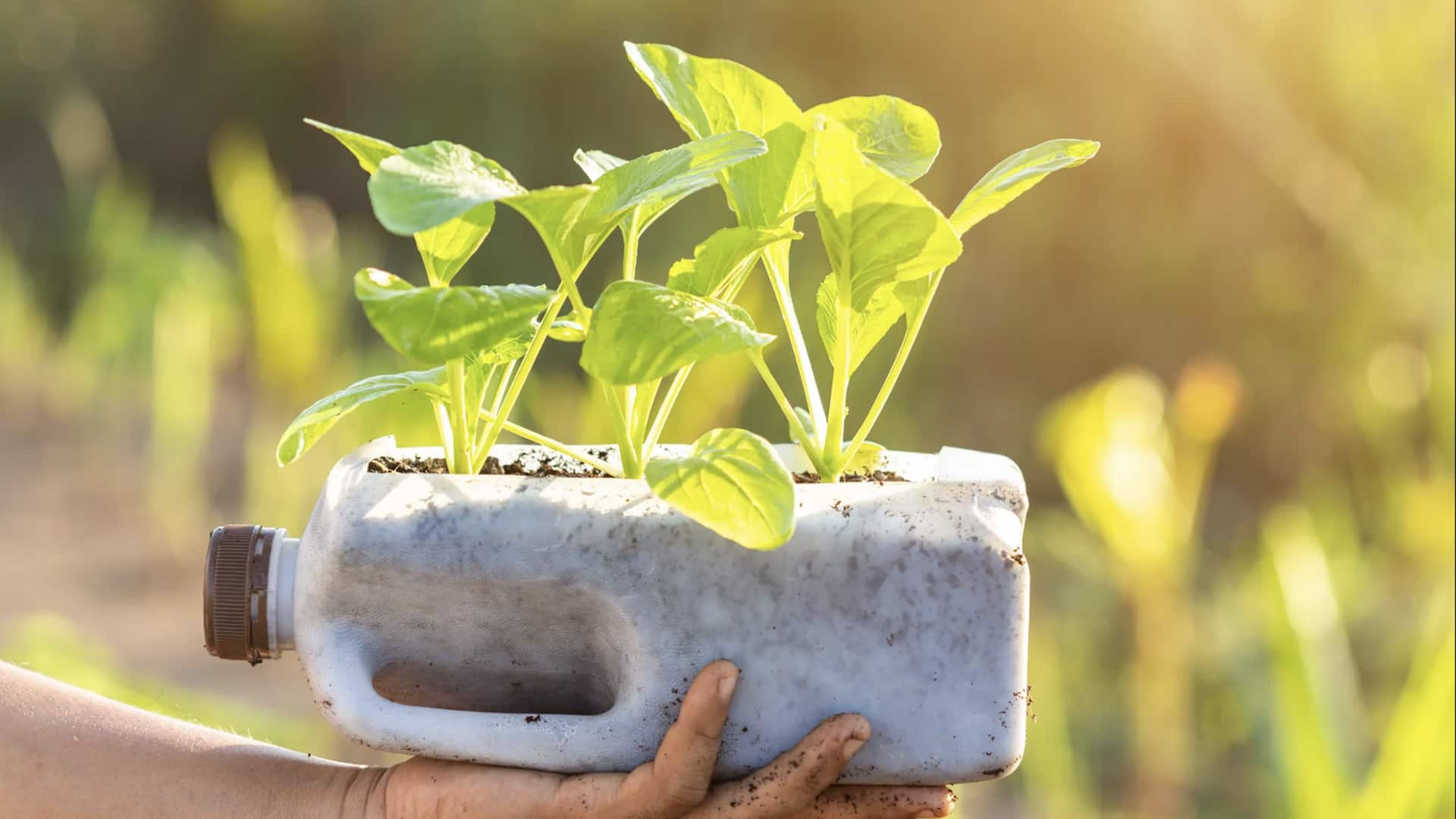 เปลี่ยนขวดพลาสติกใช้แล้ว เป็นอุปกรณ์รดน้ำสวนราคาประหยัด