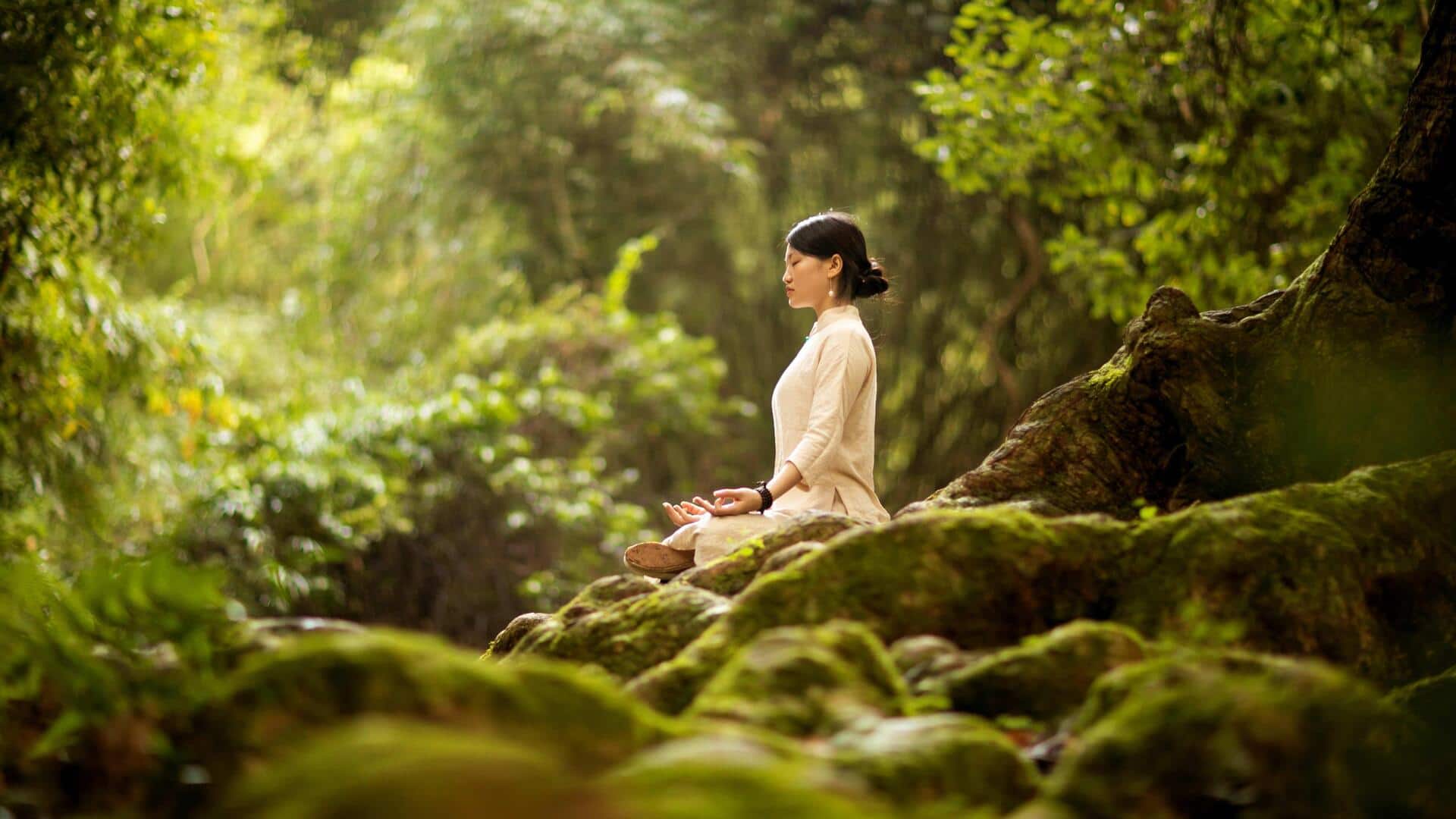 อาบป่า: วิธีเพิ่มสมาธิผ่านธรรมชาติ อาบป่า: วิธีเพิ่มสมาธิผ่านธรรมชาติ