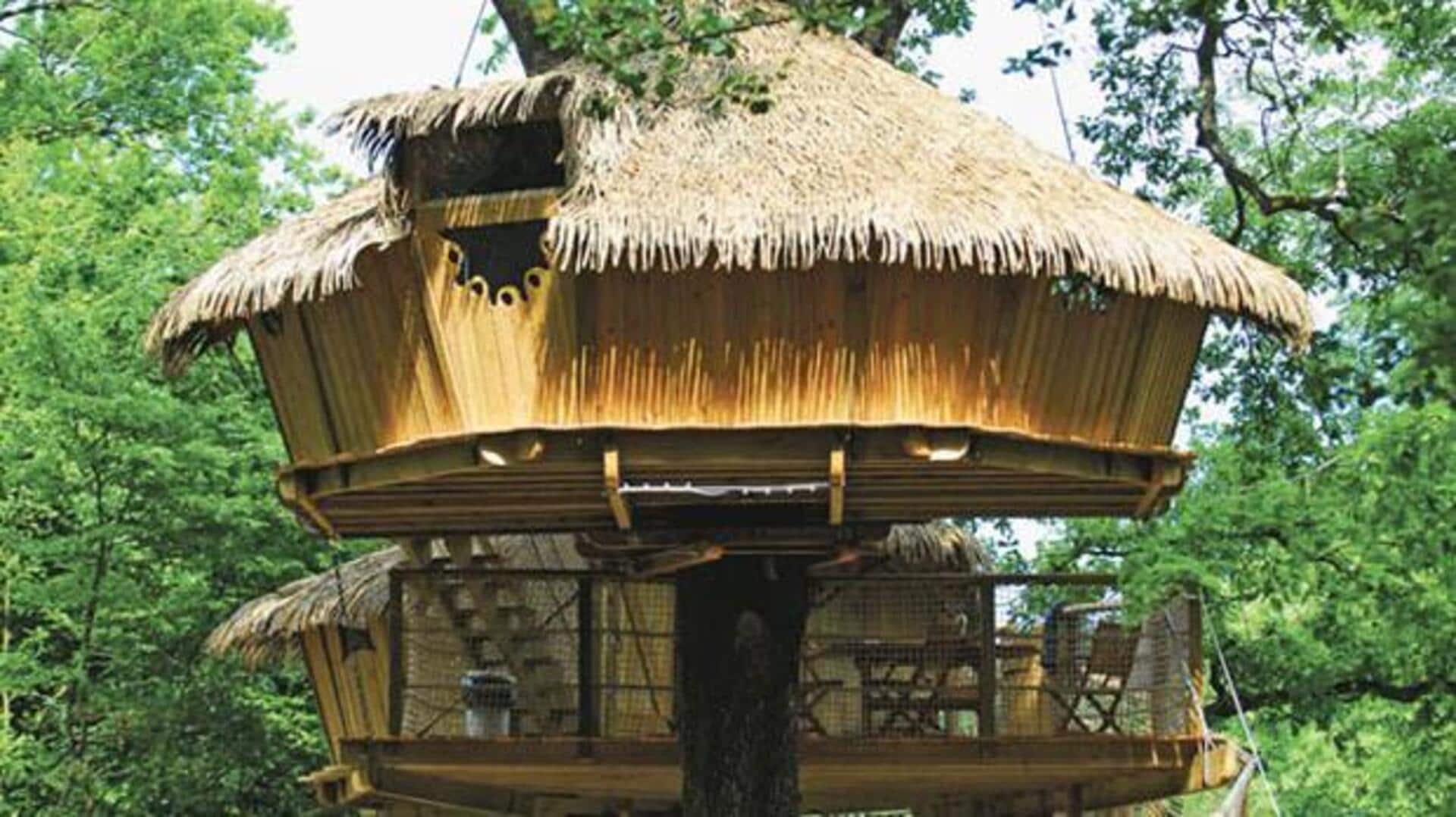 บ้านต้นไม้ที่มีเอกลักษณ์สำหรับการพักผ่อน บ้านต้นไม้ที่มีเอกลักษณ์สำหรับการพักผ่อน