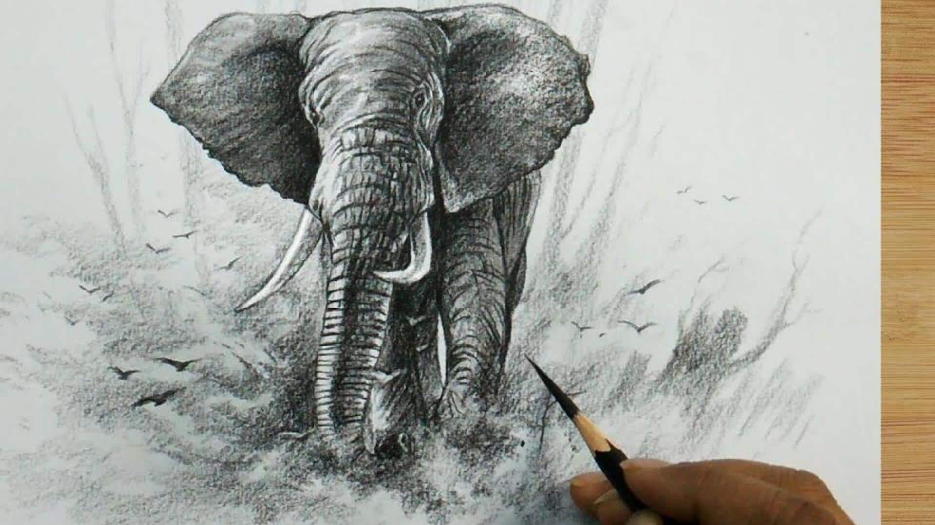 วาดภาพวันละ 5 นาทีเพื่อฝึกความอดทน วาดภาพวันละ 5 นาทีเพื่อฝึกความอดทน