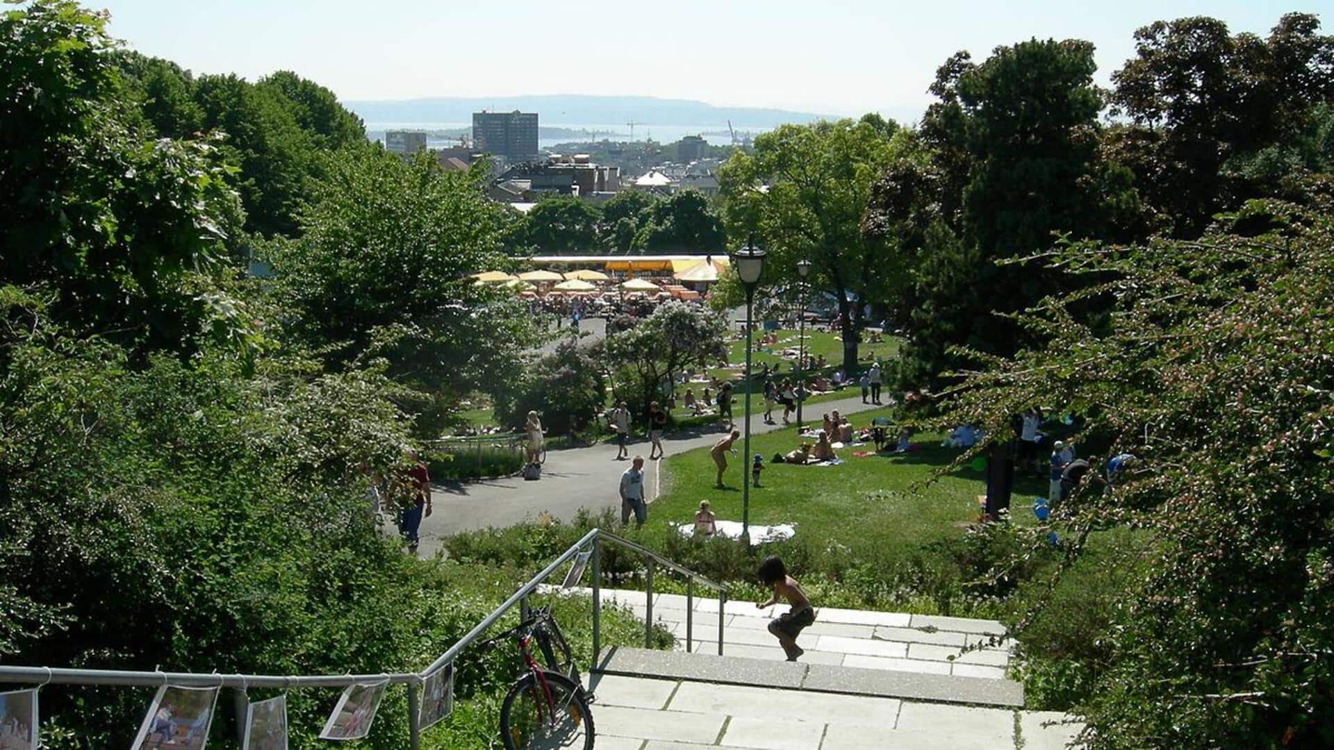 สวนป่าใกล้ออสโลที่ไม่ควรพลาด