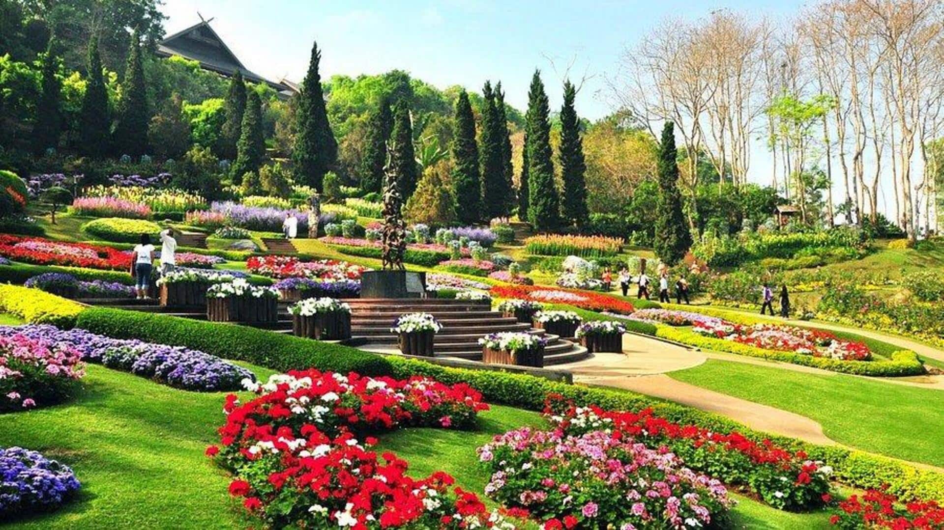เชียงราย: สถานที่ท่องเที่ยวใหม่ๆ ในปี 2025