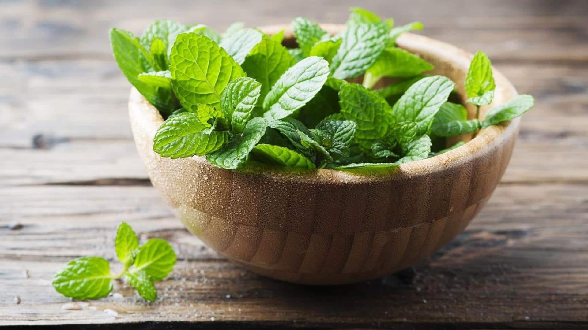 ใบสะระแหน่: เคล็ดลับผิวสวยสดใสที่คุณไม่ควรพลาด