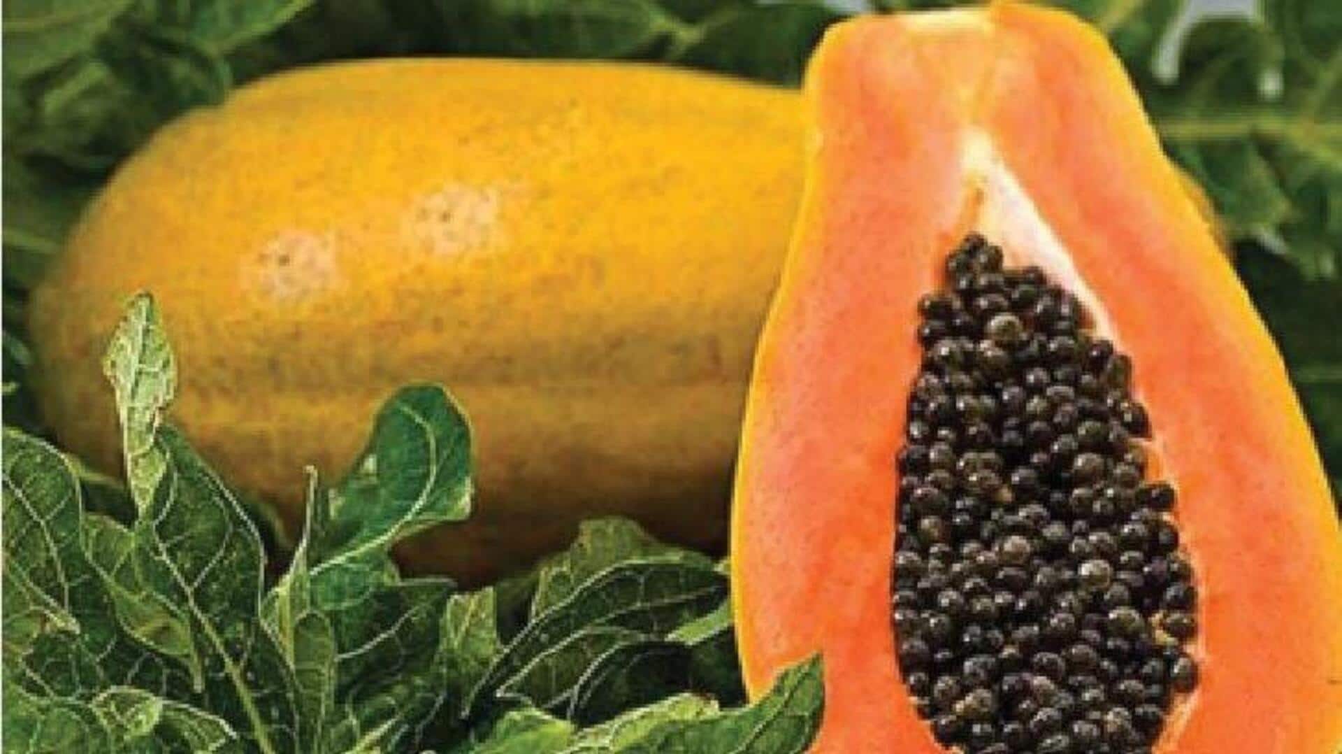 เมล็ดมะละกอ: เคล็ดลับขัดผิวให้กระจ่างใสอย่างเป็นธรรมชาติ