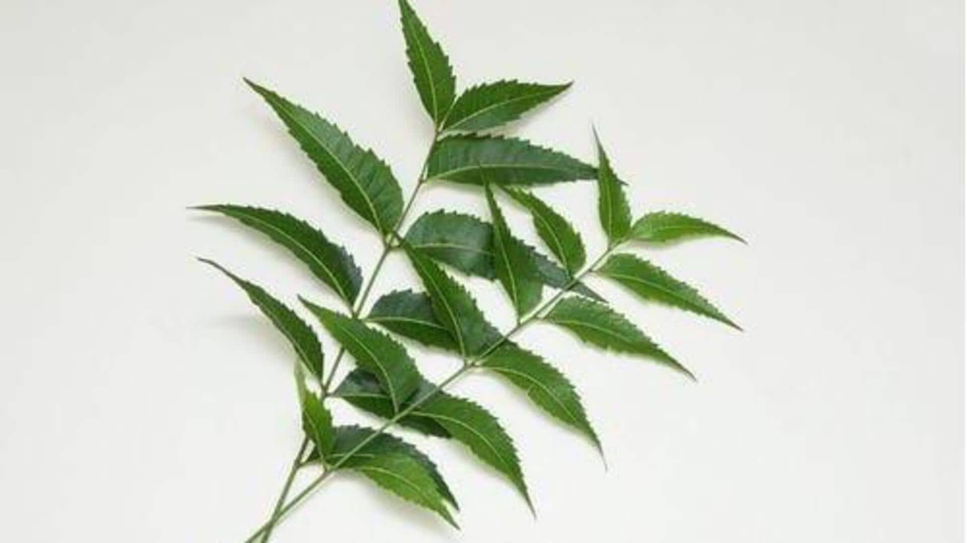 วิธีจัดการแมลงสาบในบ้านแบบประหยัด