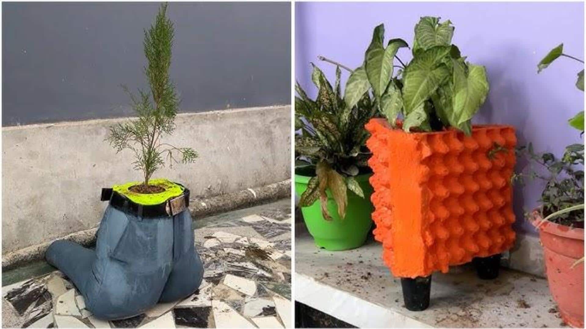 เปลี่ยนกล่องไข่เก่าให้เป็นกระถางต้นไม้สีสันสดใส