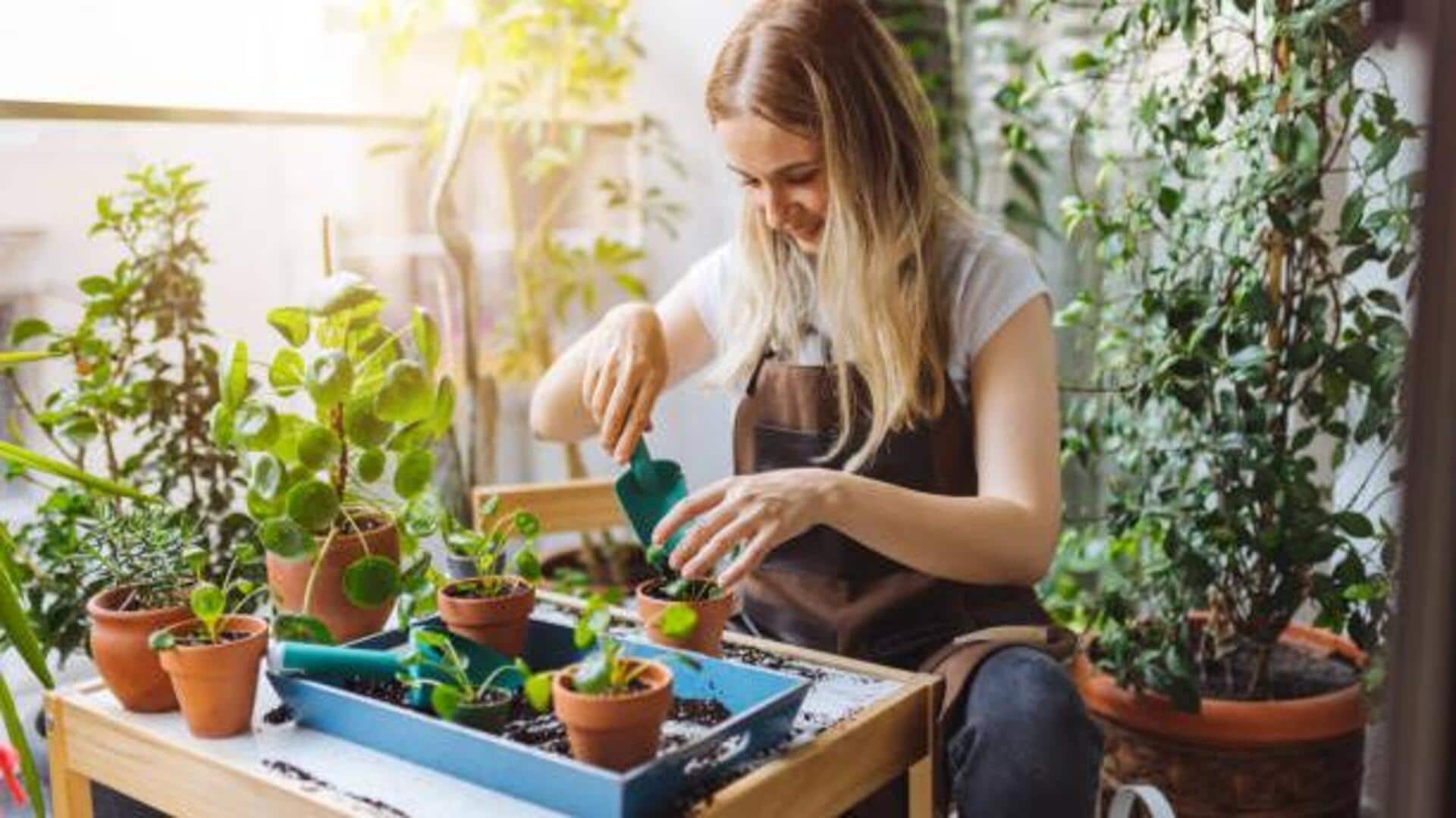 5 วิธีเพิ่มความอดทนด้วยการทำสวนที่บ้านแบบง่ายๆ