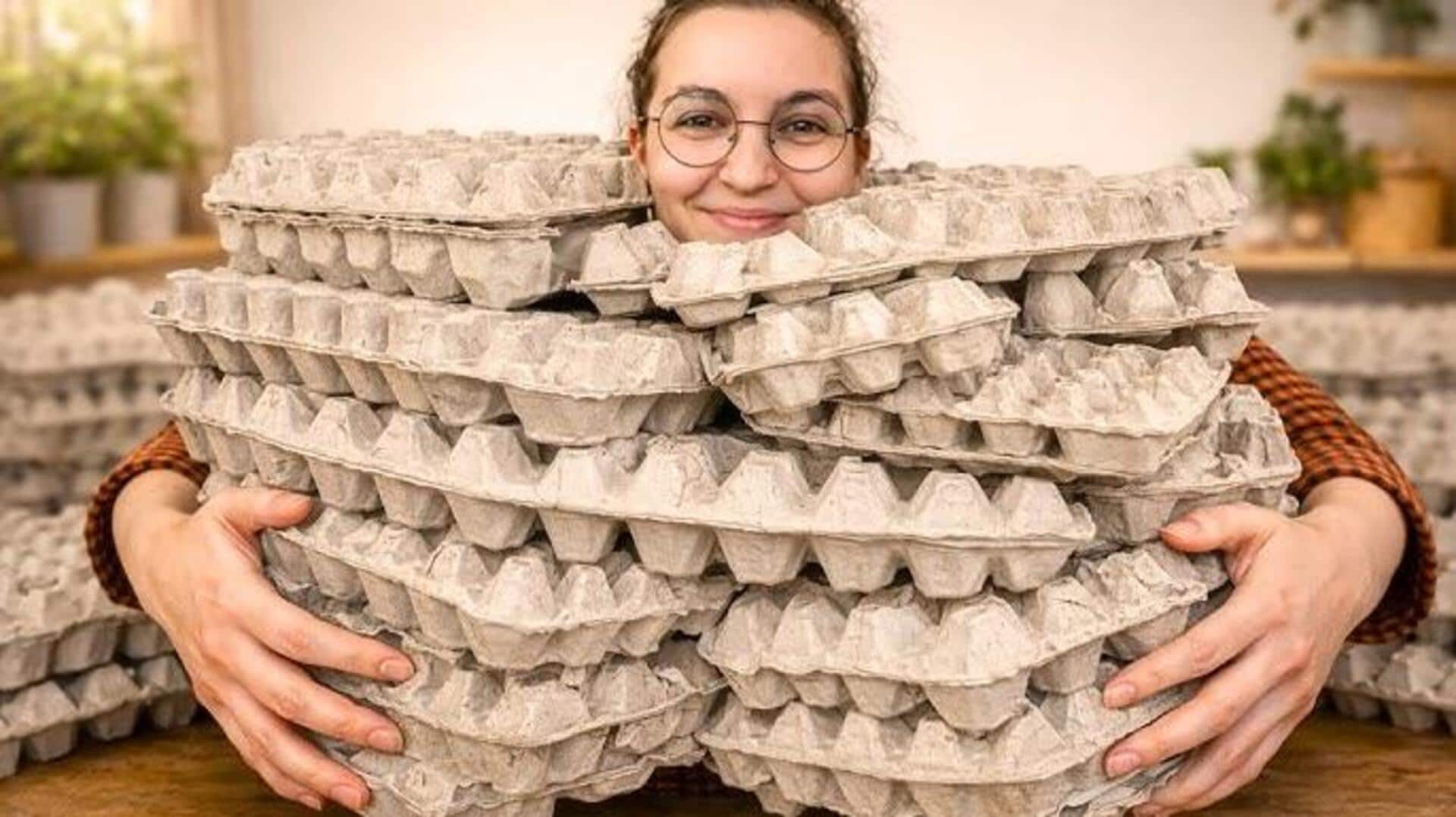 DIY สุดเก๋: เปลี่ยนกล่องไข่เป็นที่จัดระเบียบแบบประหยัด