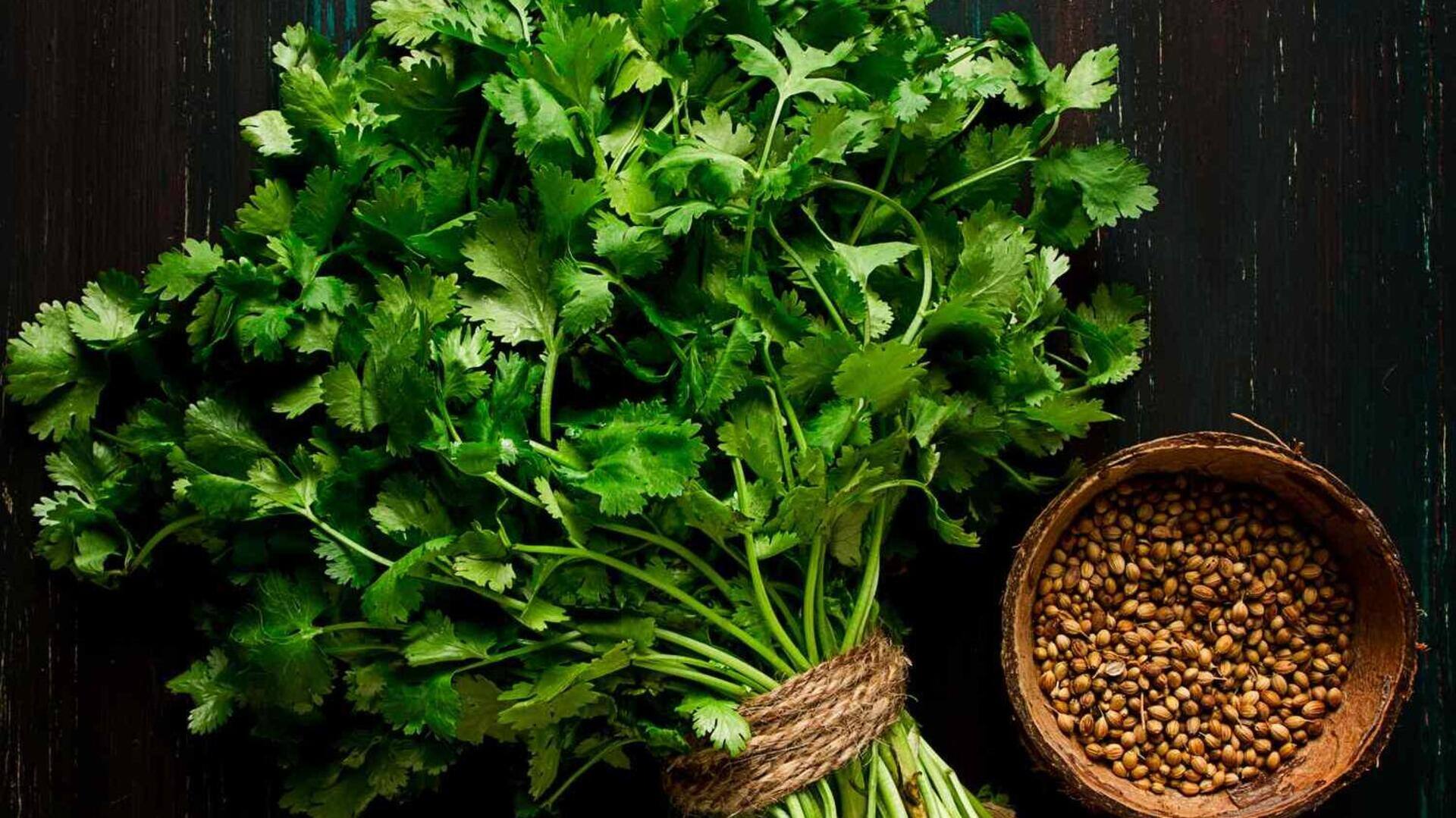 เมล็ดผักชี: ความงามเหนือกาลเวลาเพื่อผิวกระจ่างใส