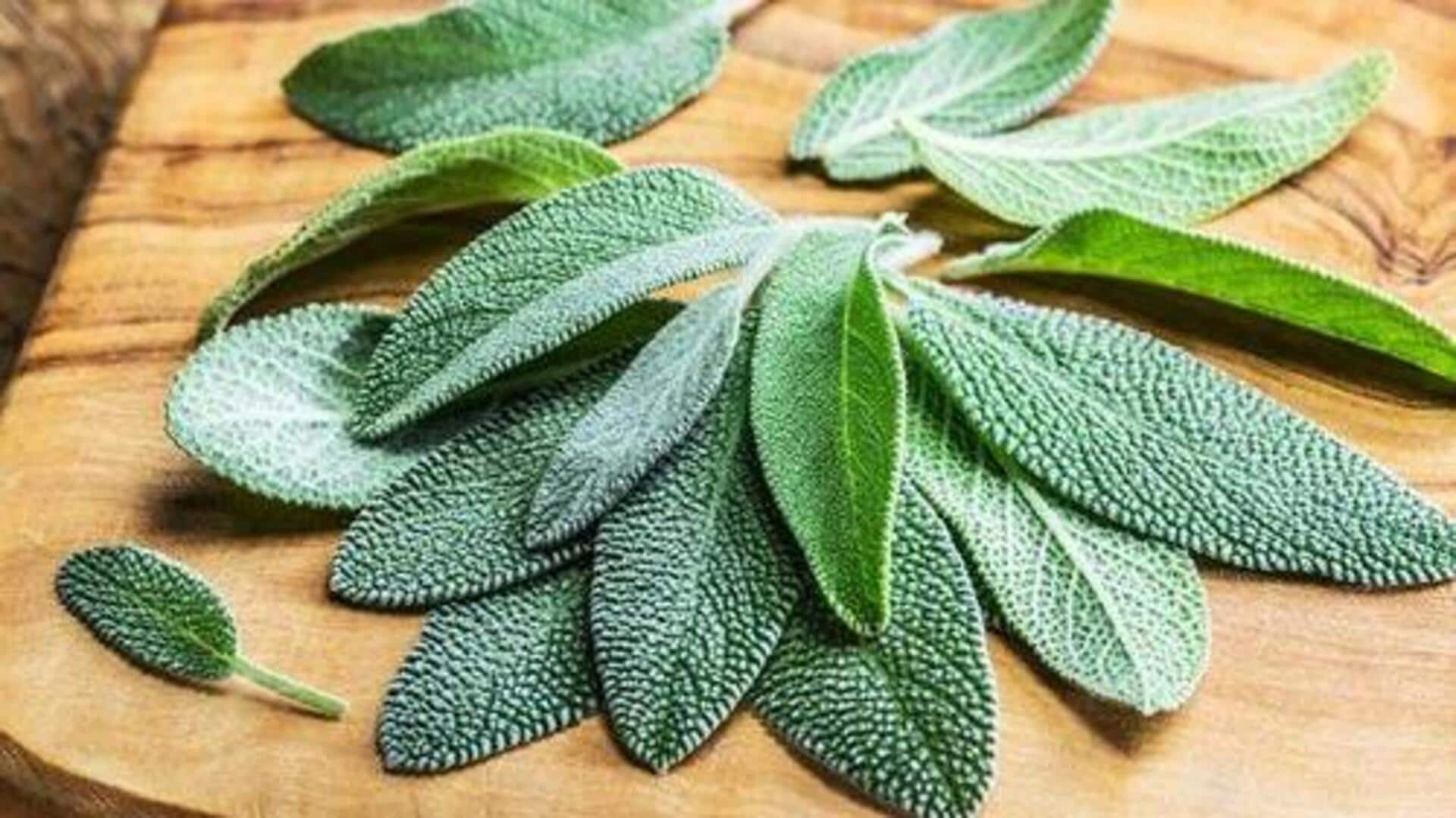 ใบเสจ: เคล็ดลับความงามเพื่อผิวสวยไร้ที่ติ