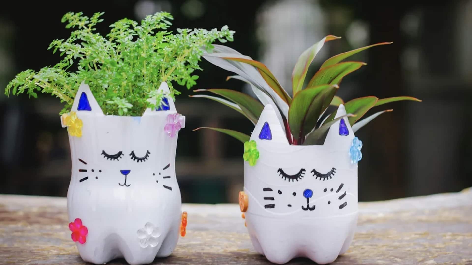 รีไซเคิลภาชนะในครัวเป็นกระถางต้นไม้ ประหยัดและรักษ์โลก